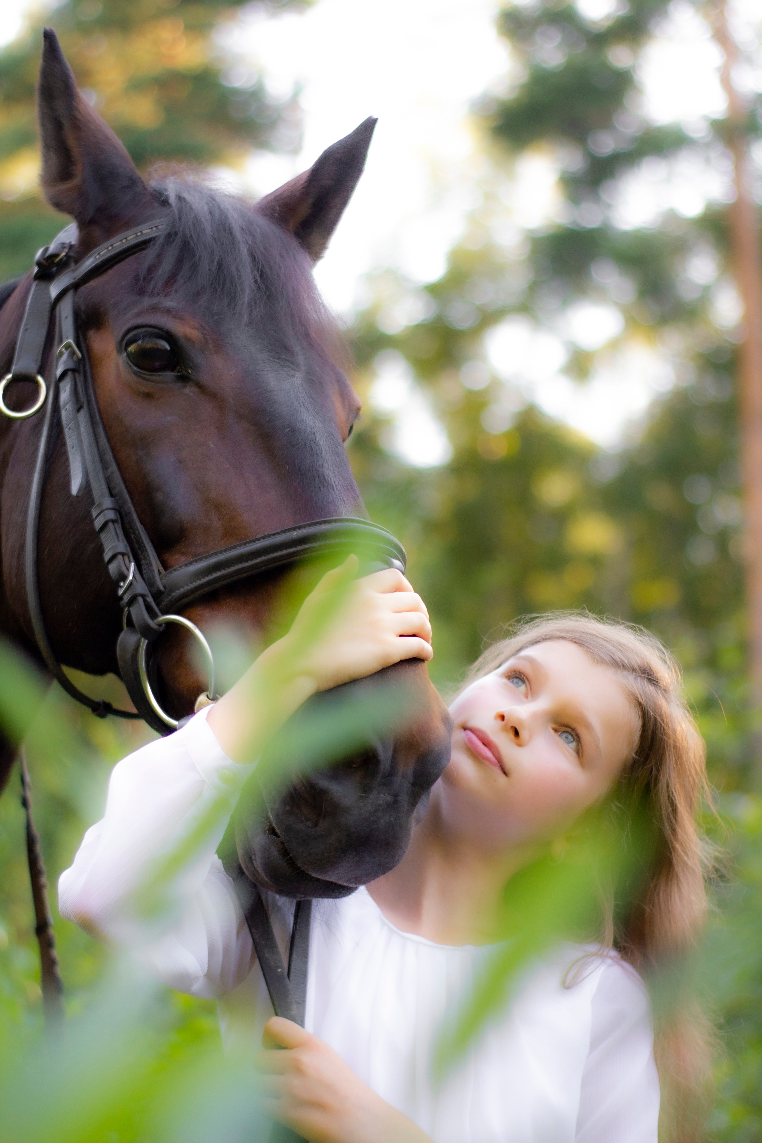 Фотосессии с лошадью. Репортажный, Event фотограф в Санкт-Петербурге и ЛО Морозов Дмитрий