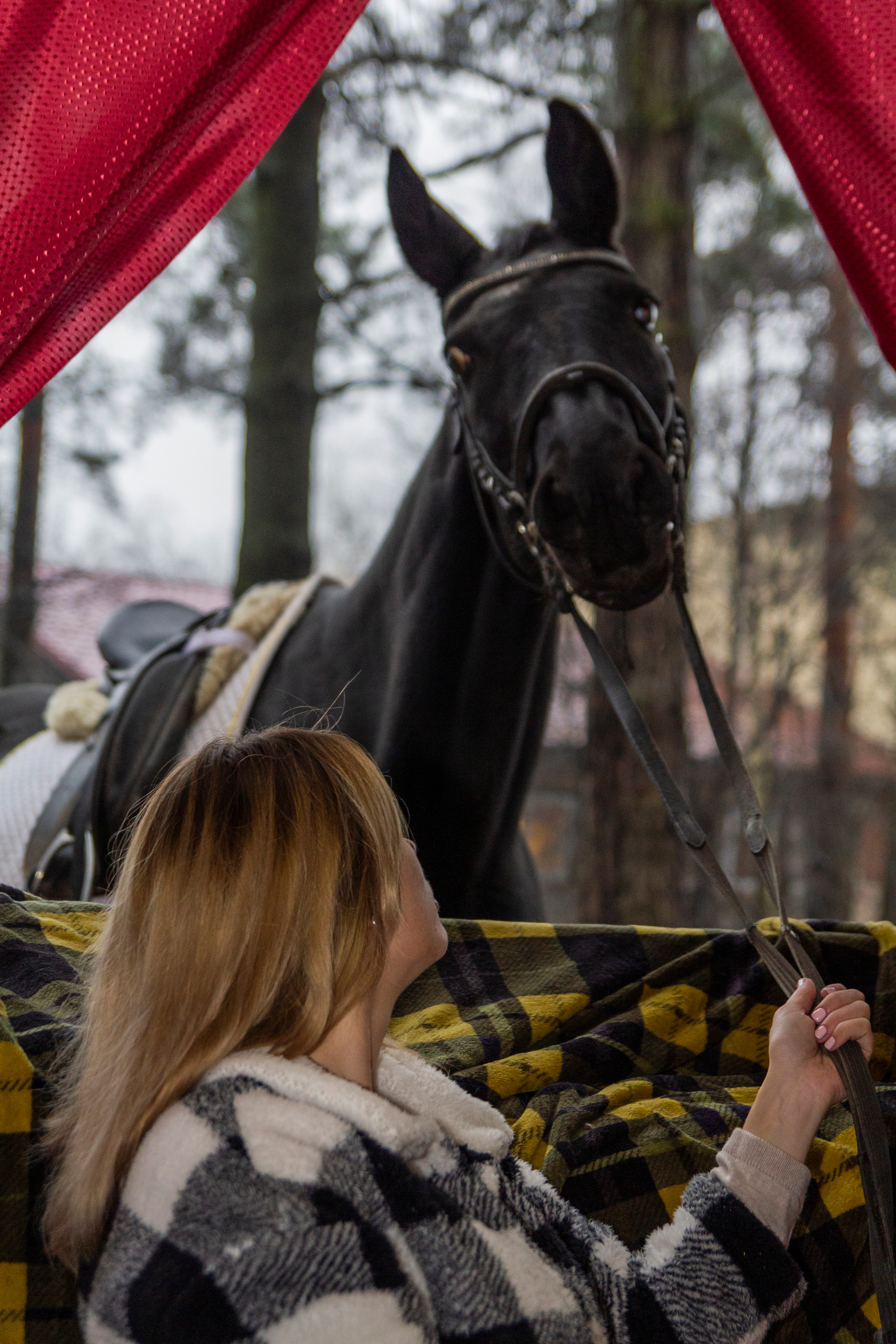 Фотосессии с лошадью. Репортажный, Event фотограф в Санкт-Петербурге и ЛО Морозов Дмитрий