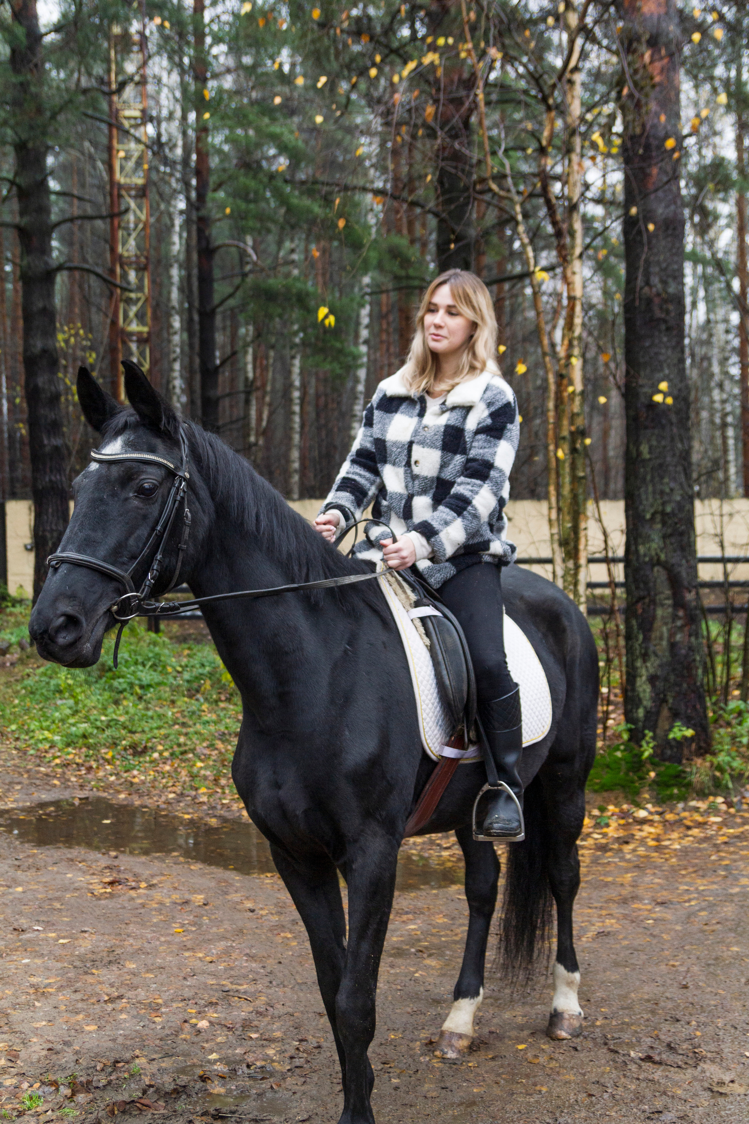 Фотосессии с лошадью. Репортажный, Event фотограф в Санкт-Петербурге и ЛО Морозов Дмитрий