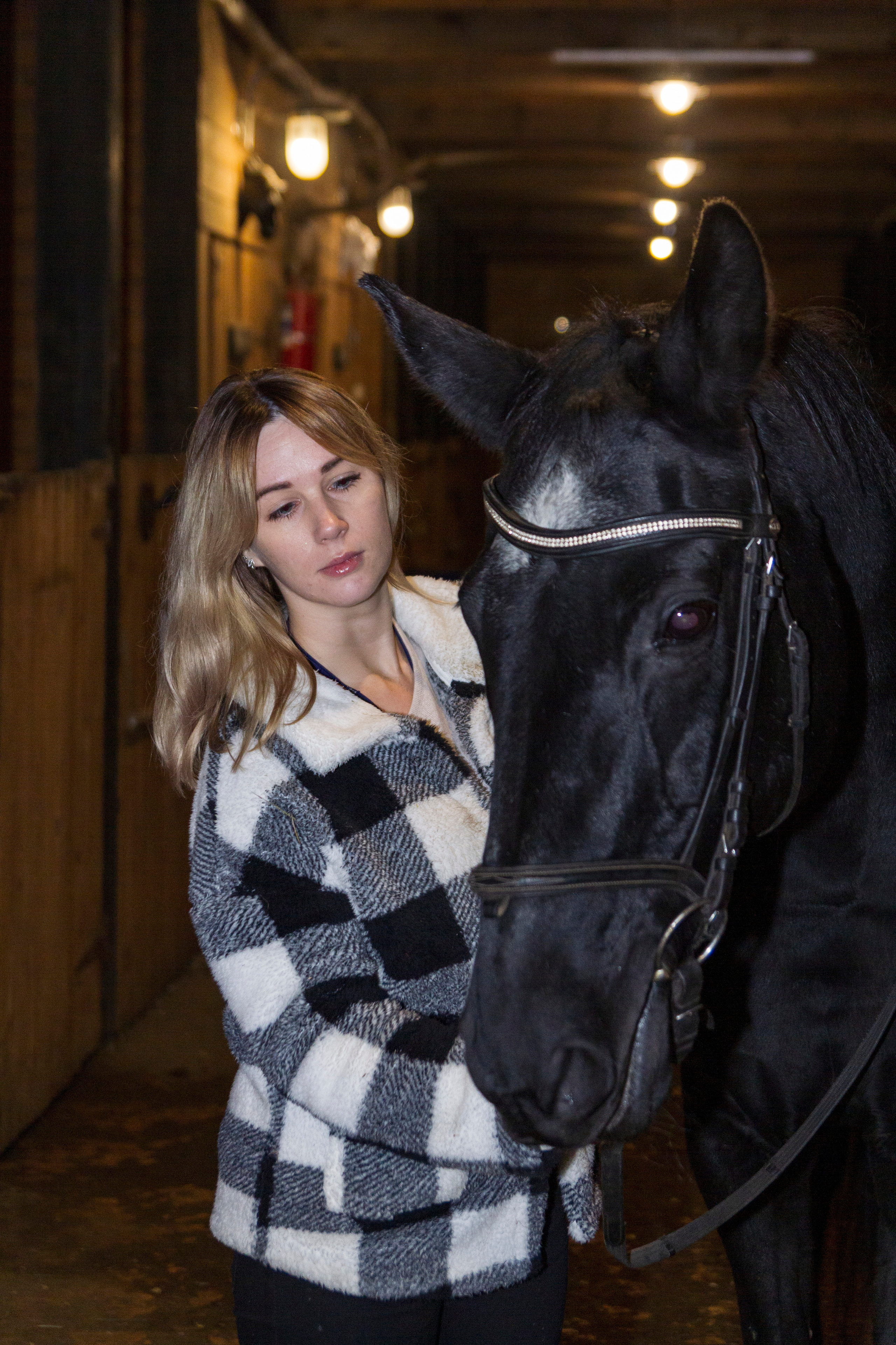 Фотосессии с лошадью. Репортажный, Event фотограф в Санкт-Петербурге и ЛО Морозов Дмитрий