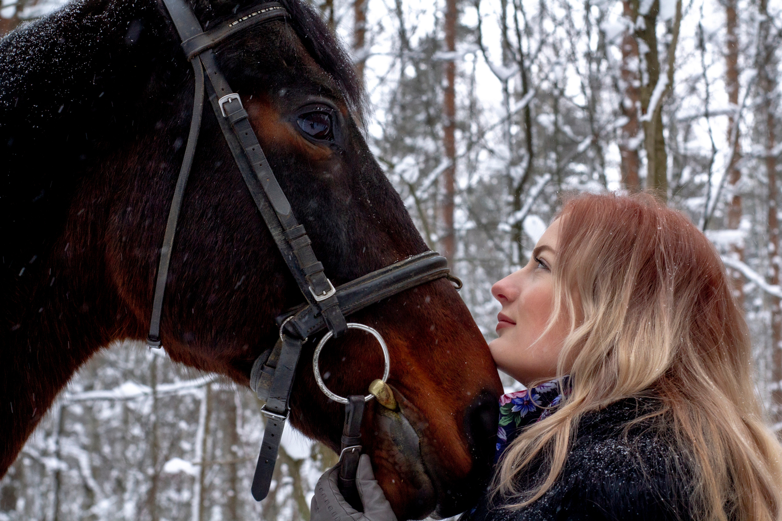 Фотосессии с лошадью. Репортажный, Event фотограф в Санкт-Петербурге и ЛО Морозов Дмитрий