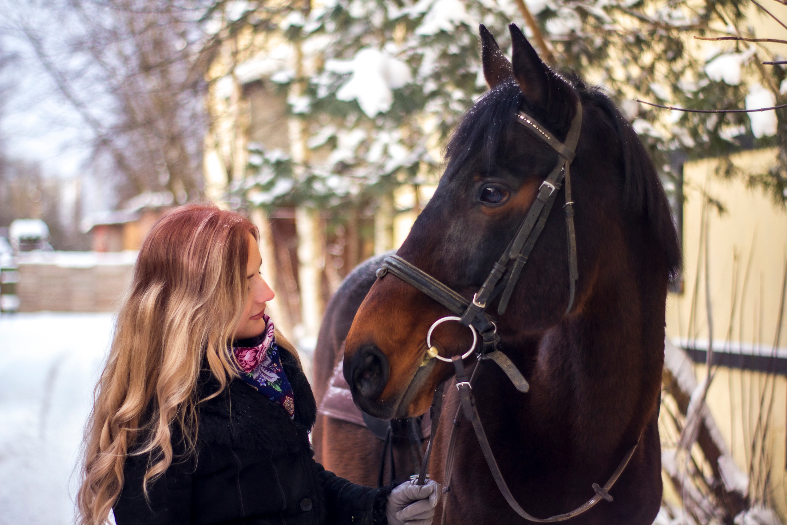 Фотосессии с лошадью. Репортажный, Event фотограф в Санкт-Петербурге и ЛО Морозов Дмитрий