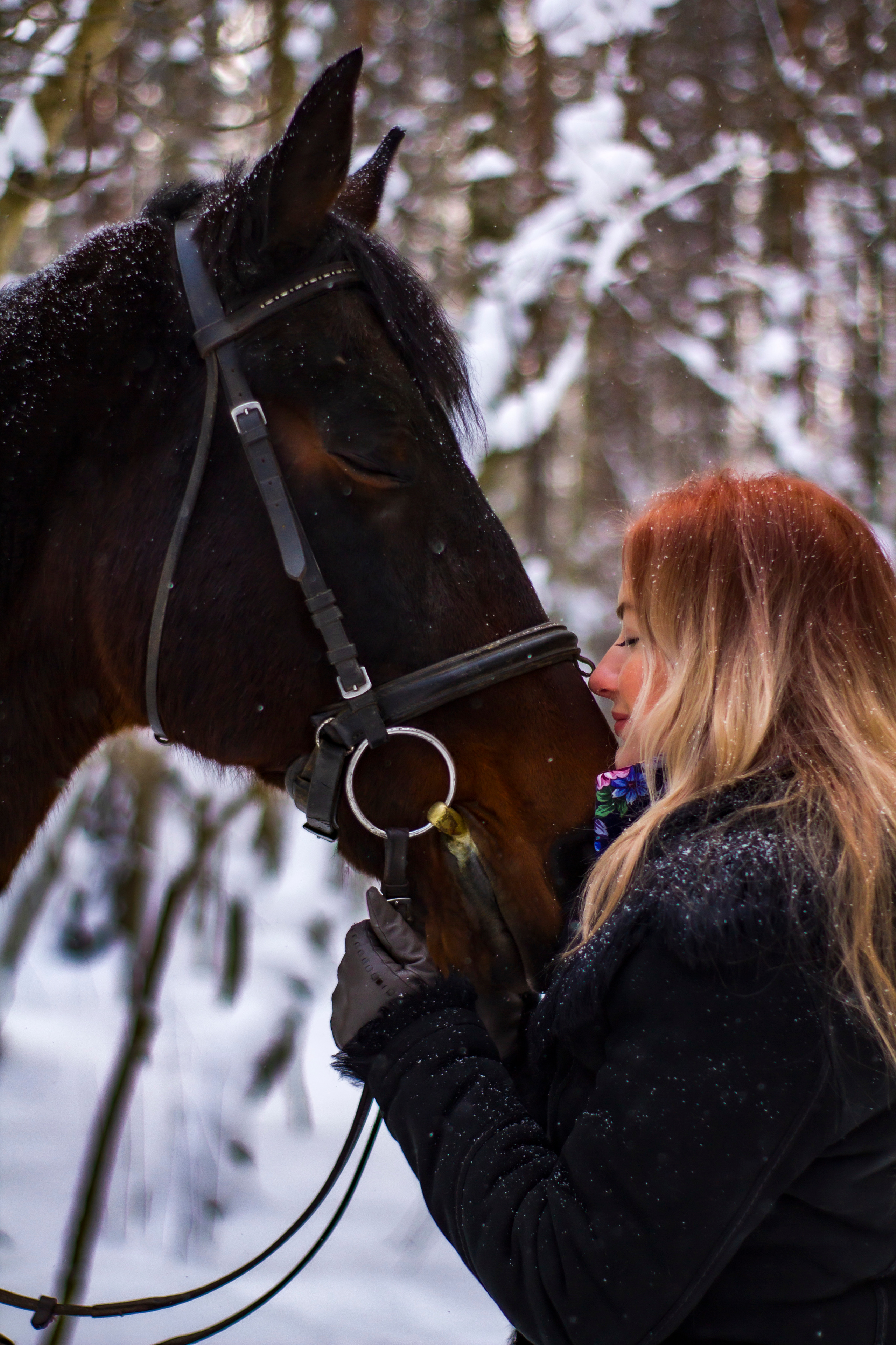 Фотосессии с лошадью. Репортажный, Event фотограф в Санкт-Петербурге и ЛО Морозов Дмитрий