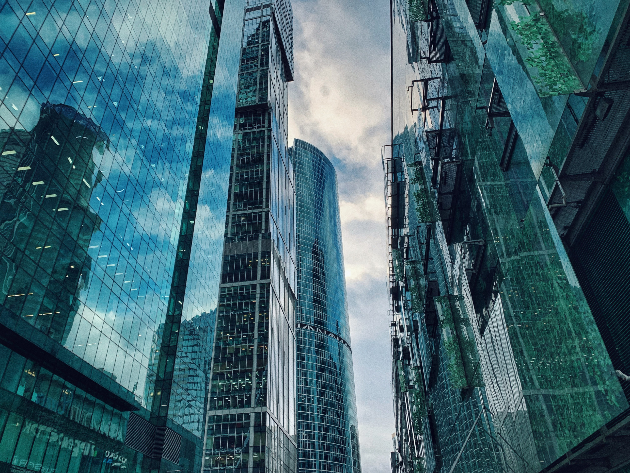 Вдохновение. Ph___tina