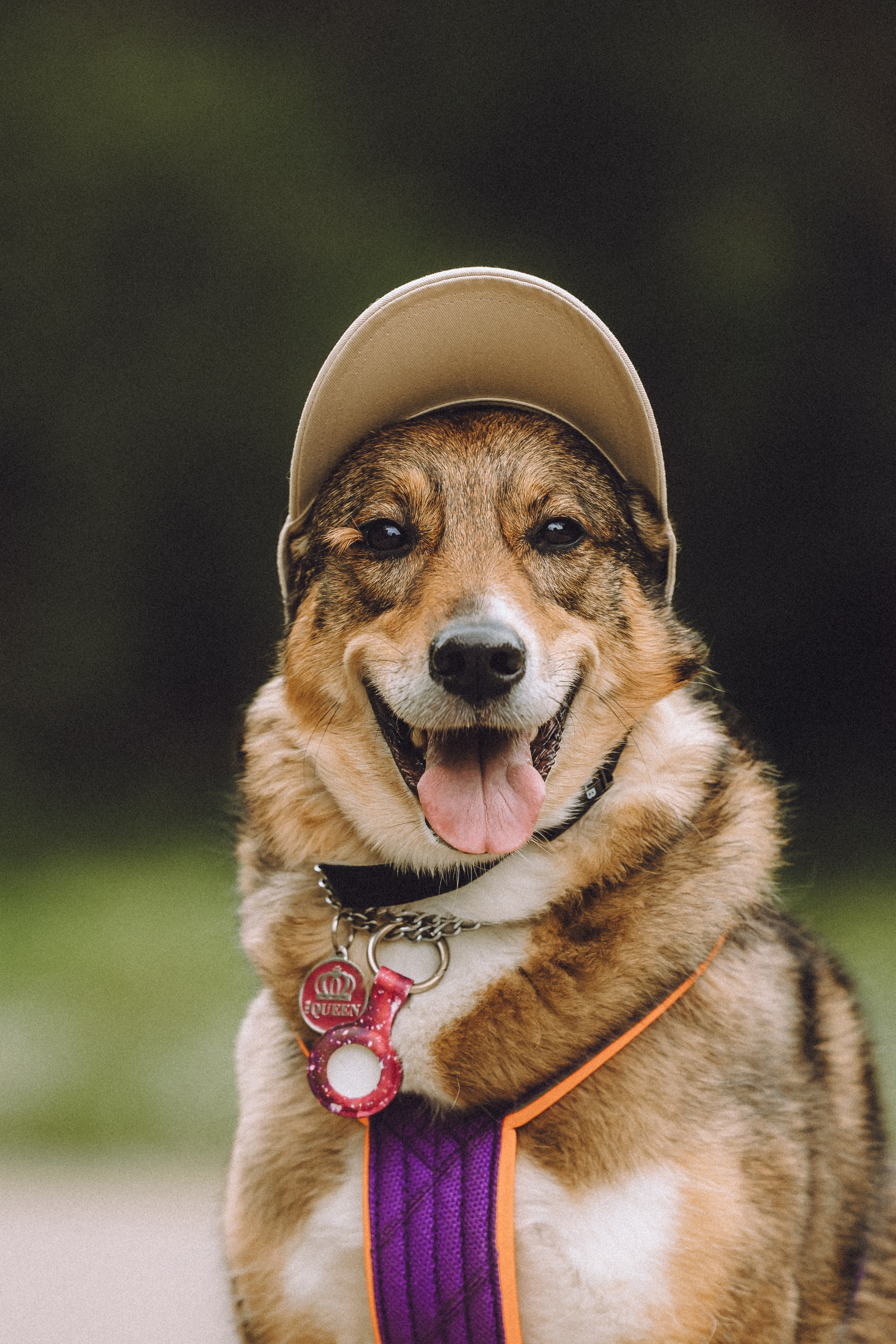 Груша, Данни, Фунтик и их семья