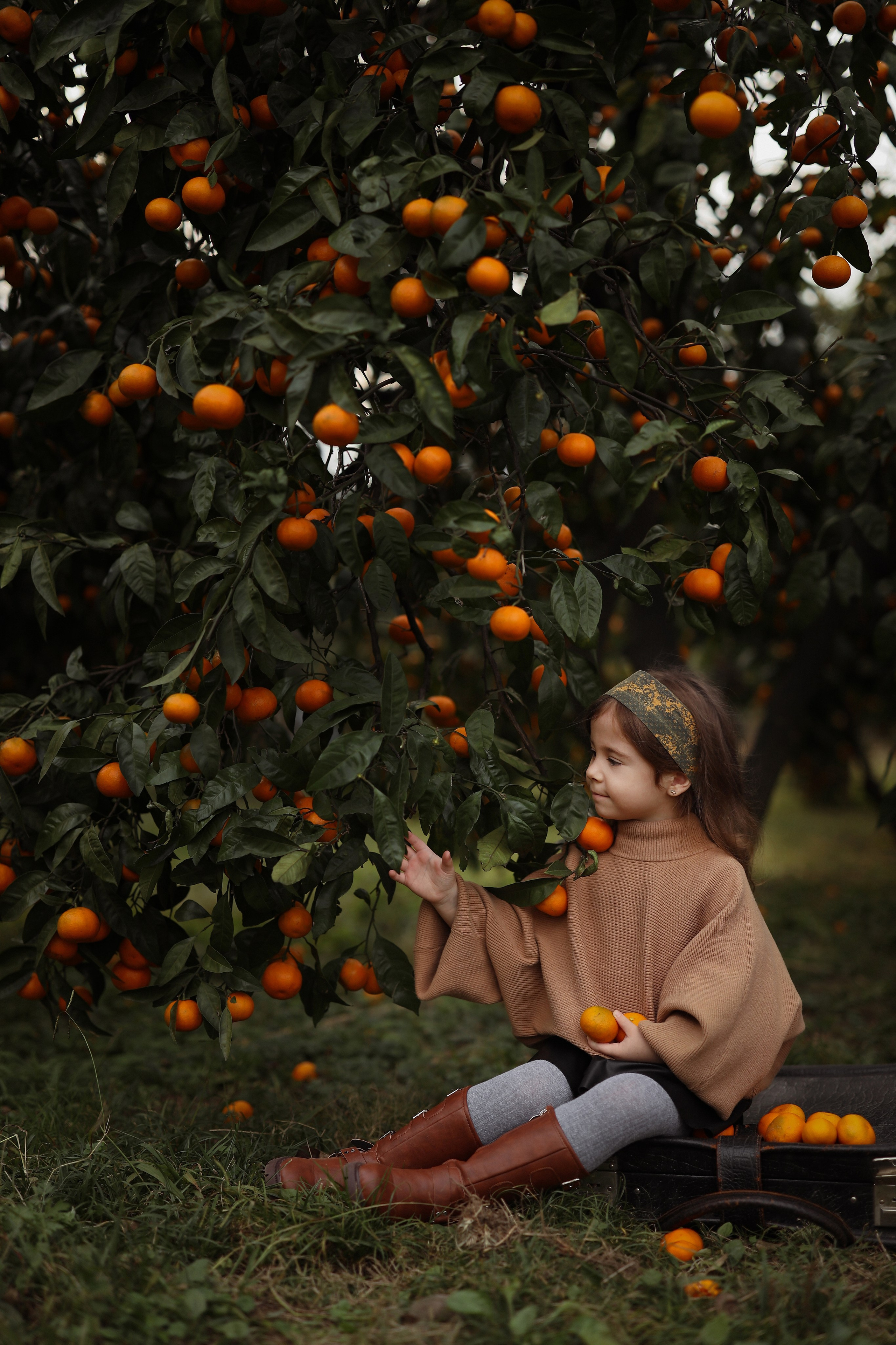 девочка сидит под деревом с мандаринами  фотосессия в Абхазии 