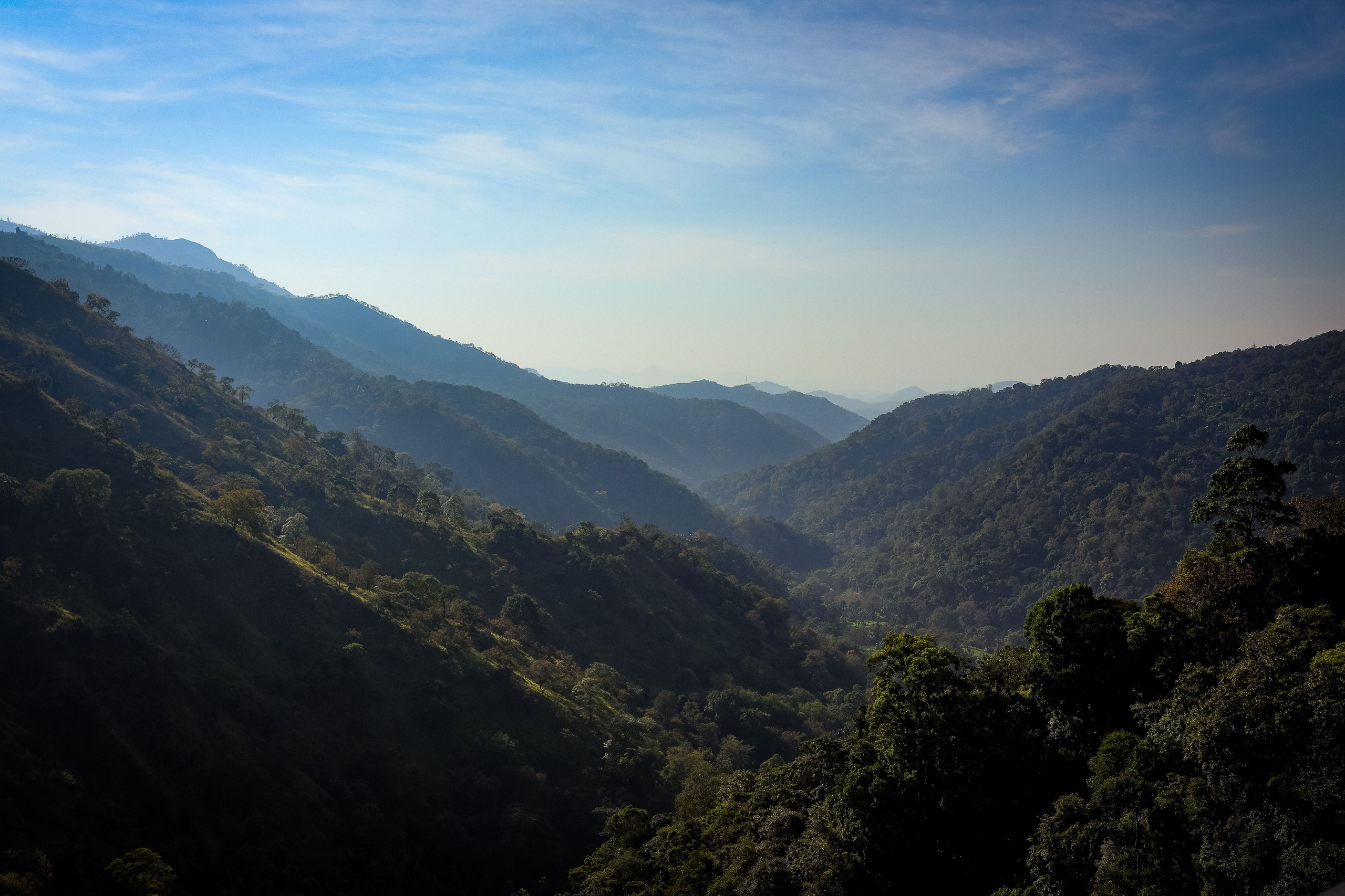 Шри-Ланка (весна 2024). Фотограф Виноградов Константин