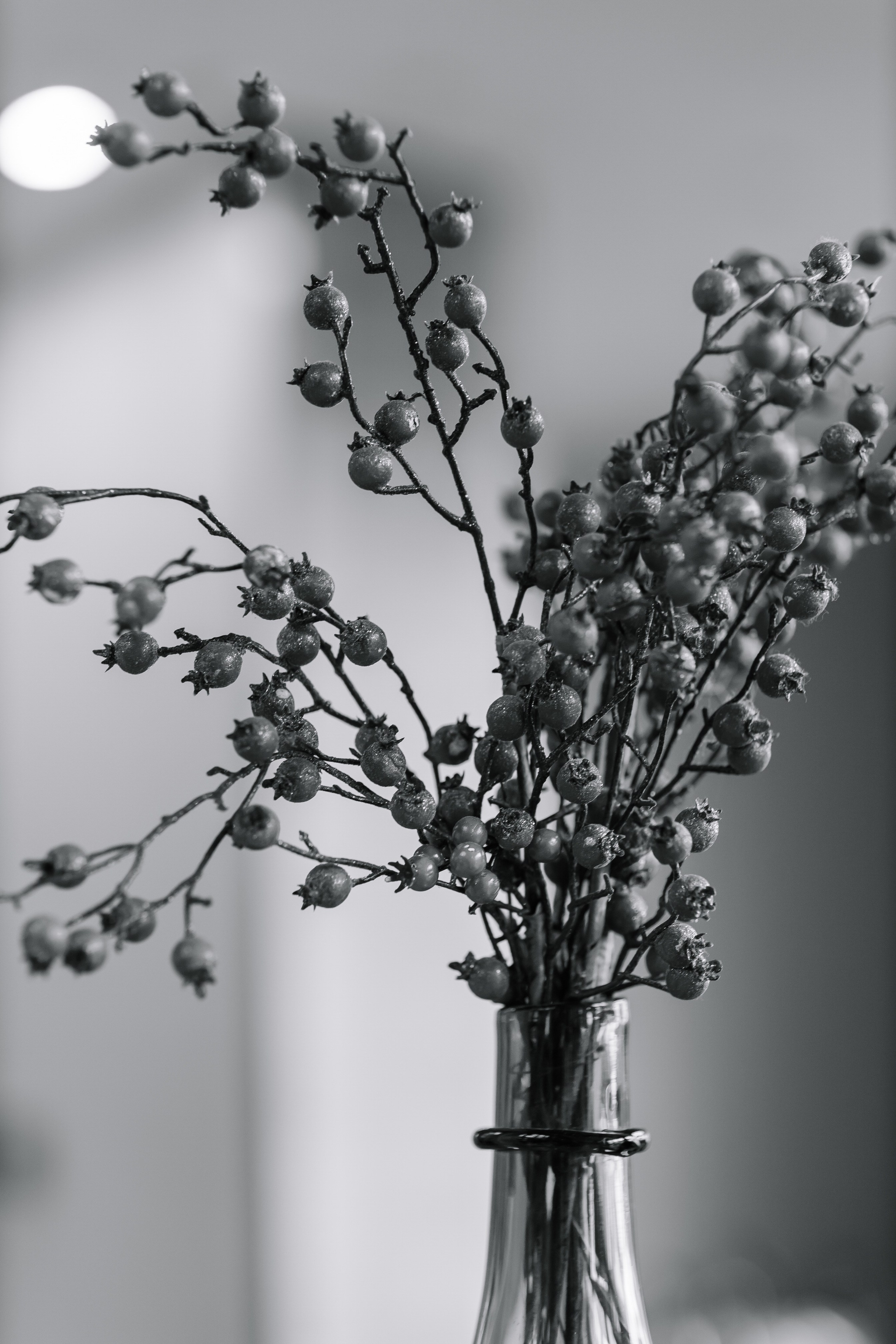 Вадим/Дарья. Свадебный фотограф