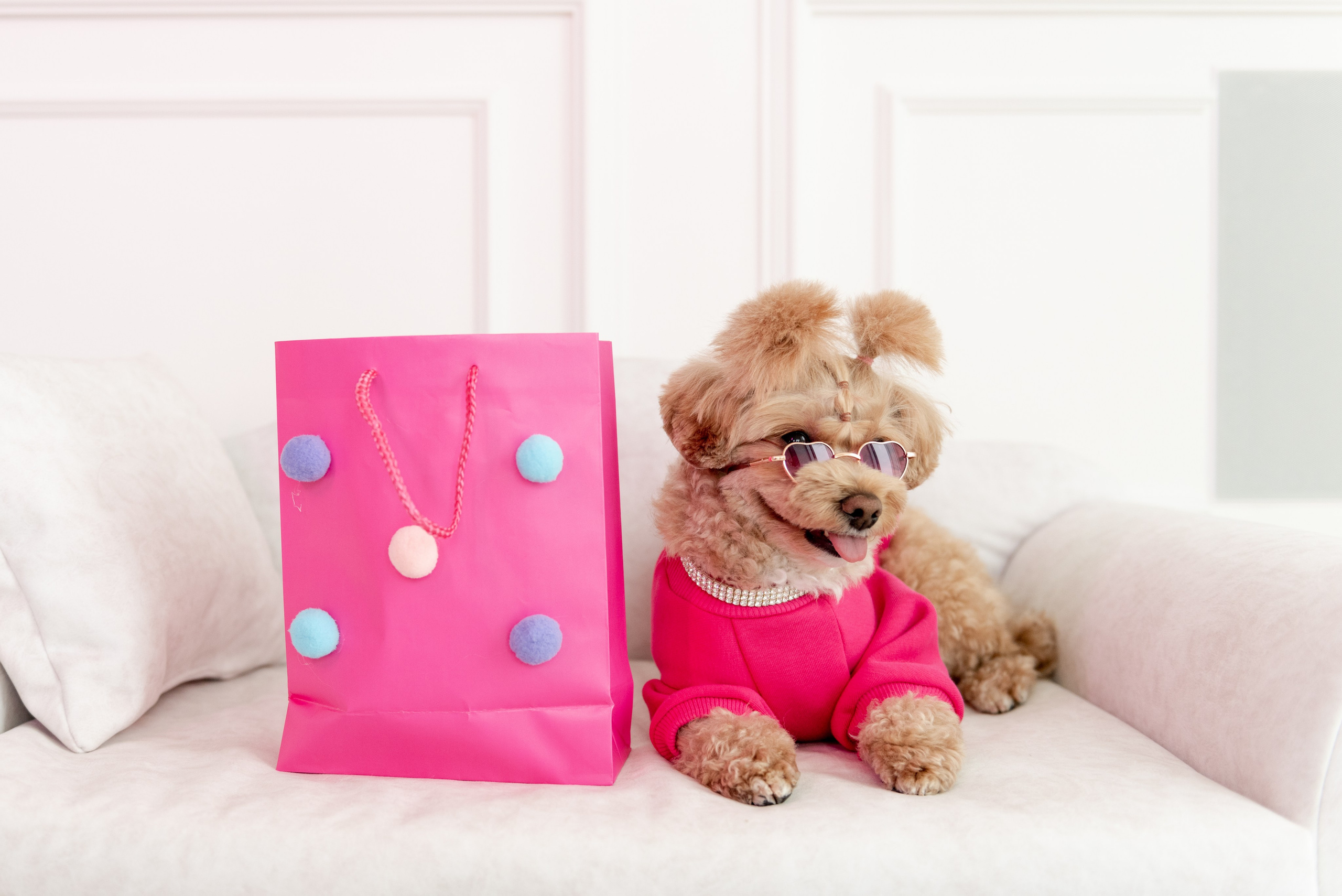 Pets. Фотограф в Москве Daria Lens