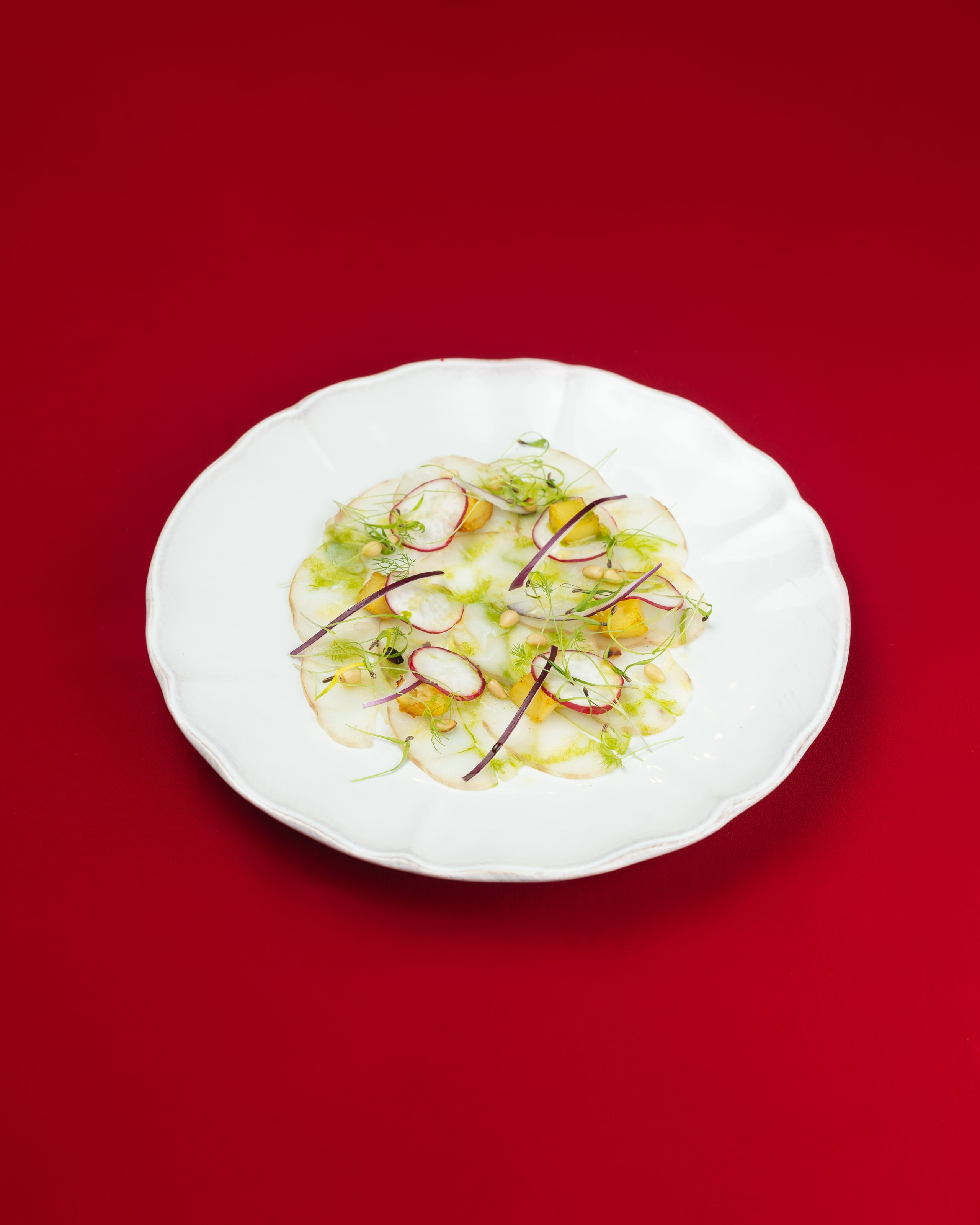 25.11.2025 Сыр Бор, новогодний спешл. ФОТОГРАФ ВИНОГРАДОВА ДАРЬЯ