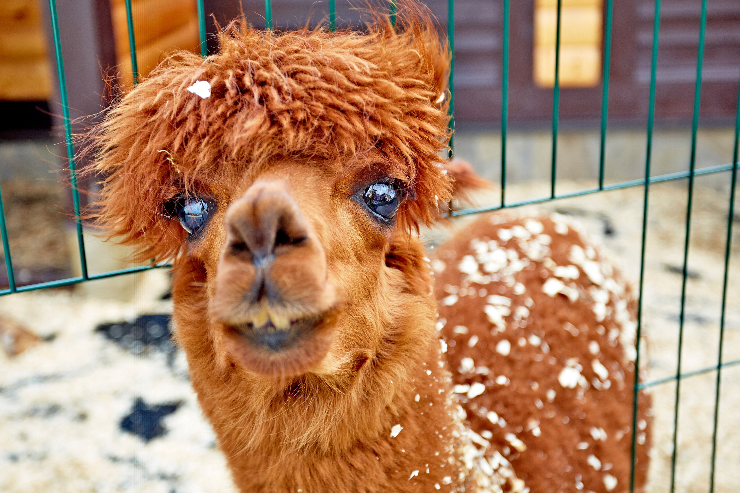 Детские праздники. Рекламный коммерческий фотограф в Москве Владимир Лукьянов