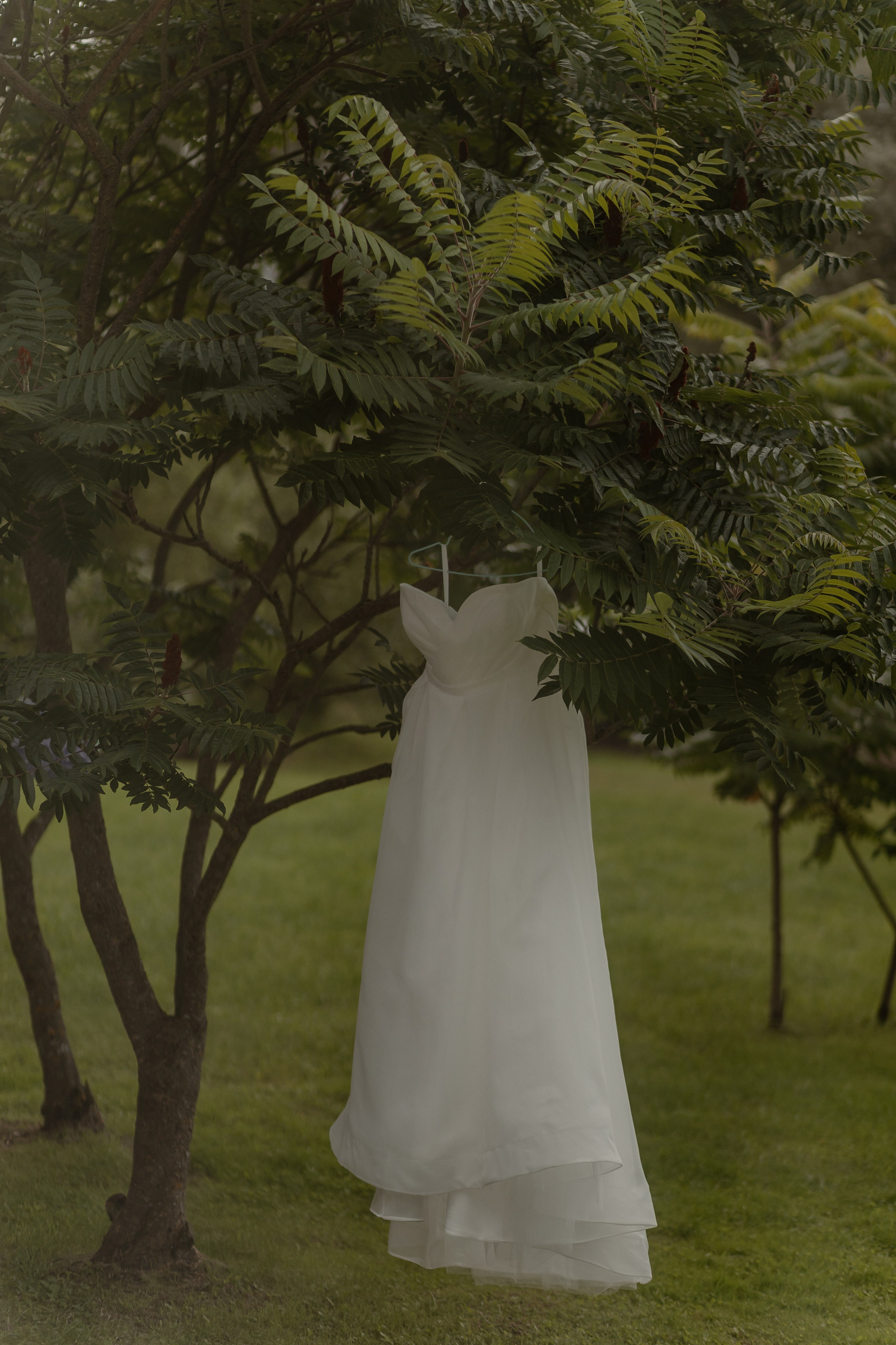 Дарина и Ярослав. Свадебный фотограф Елена Ловцевич