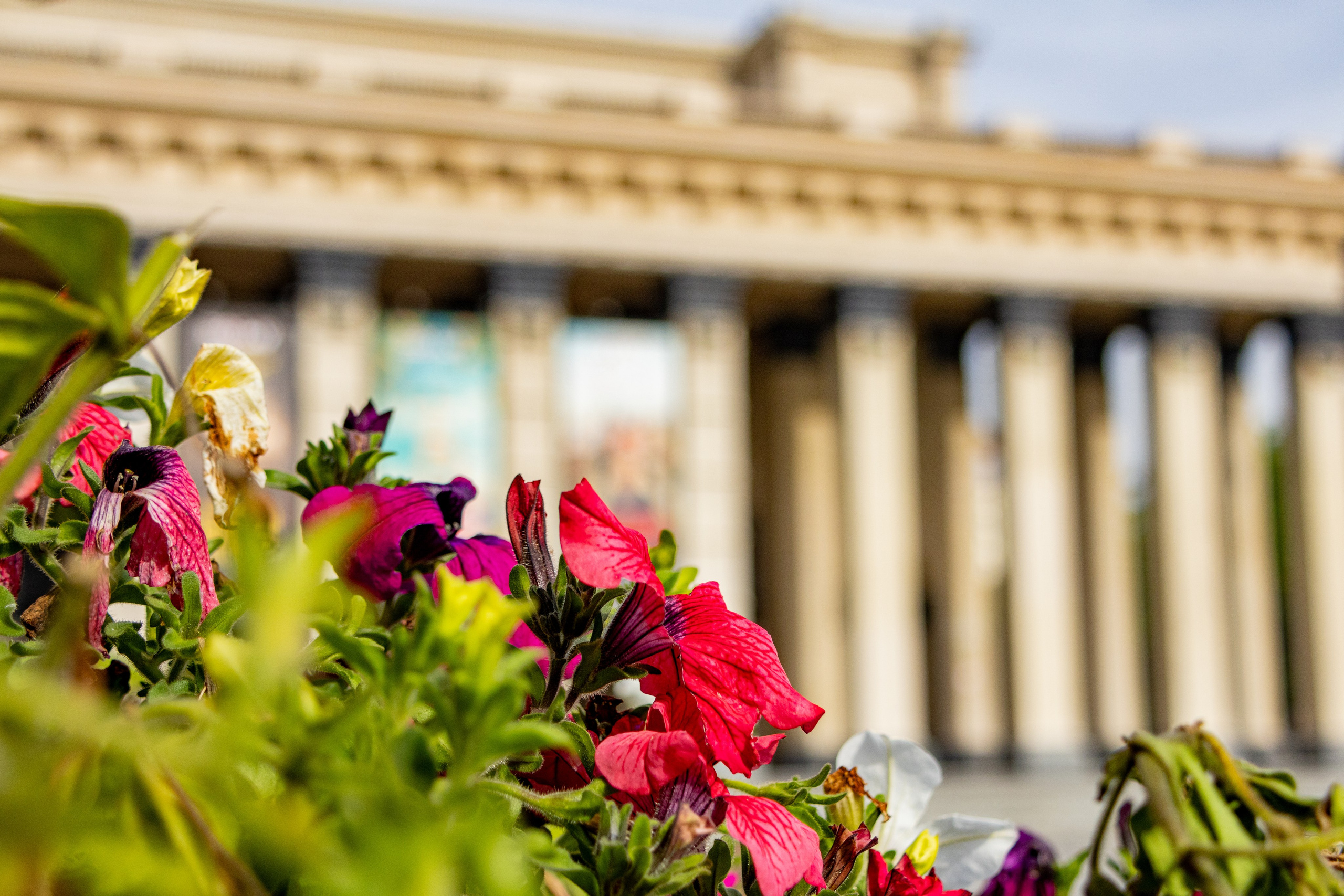 Новосибирск. Jean De Vivre Gallery