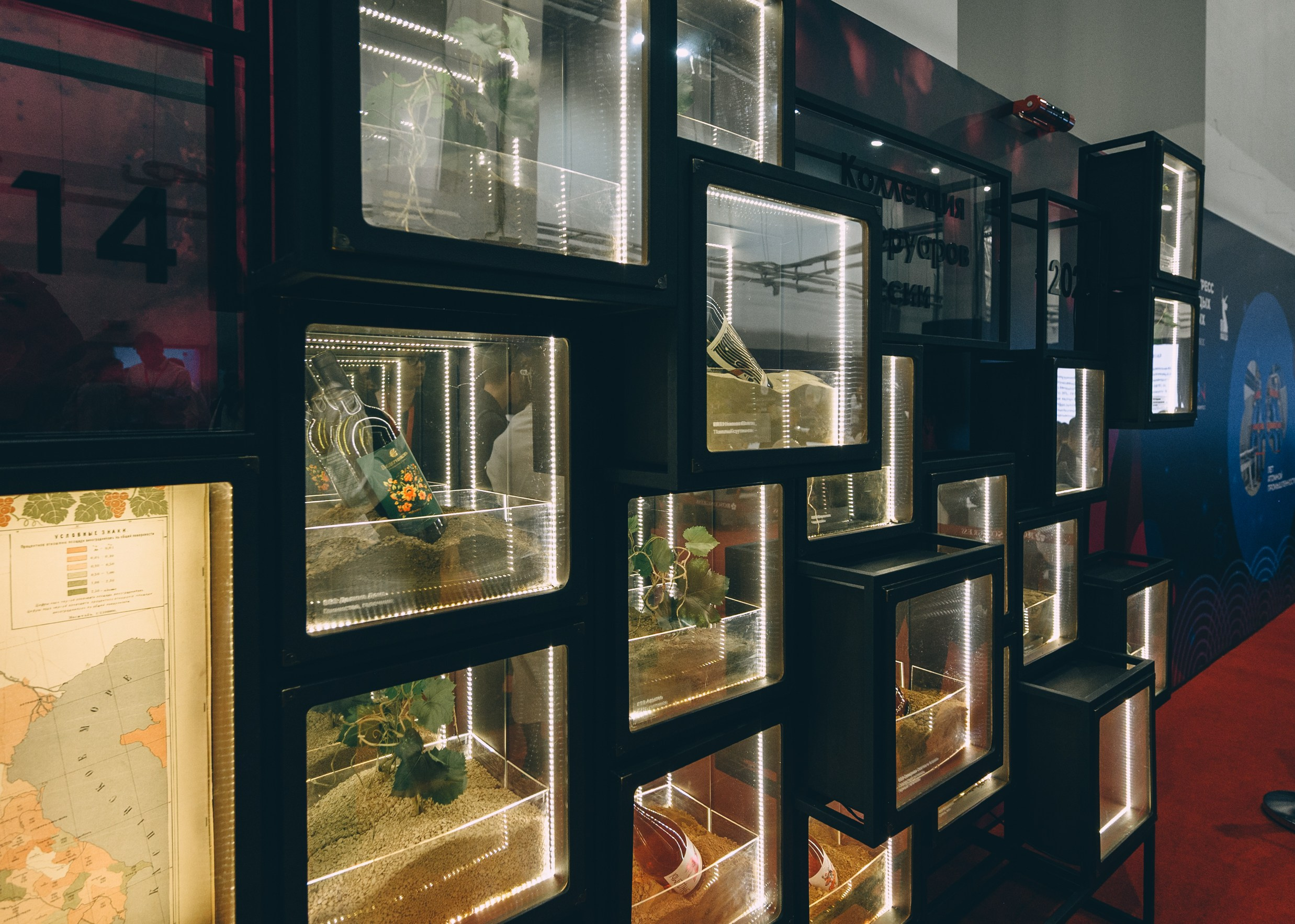 V Конгресс молодых ученых 2025. Свадебный и семейный фотограф София Невская