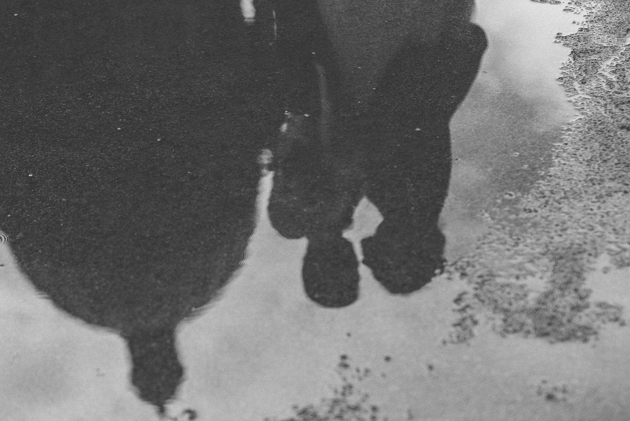 Свадьба для любителей ч/б фото. Артем и Айна. Свадебный и семейный фотограф София Невская