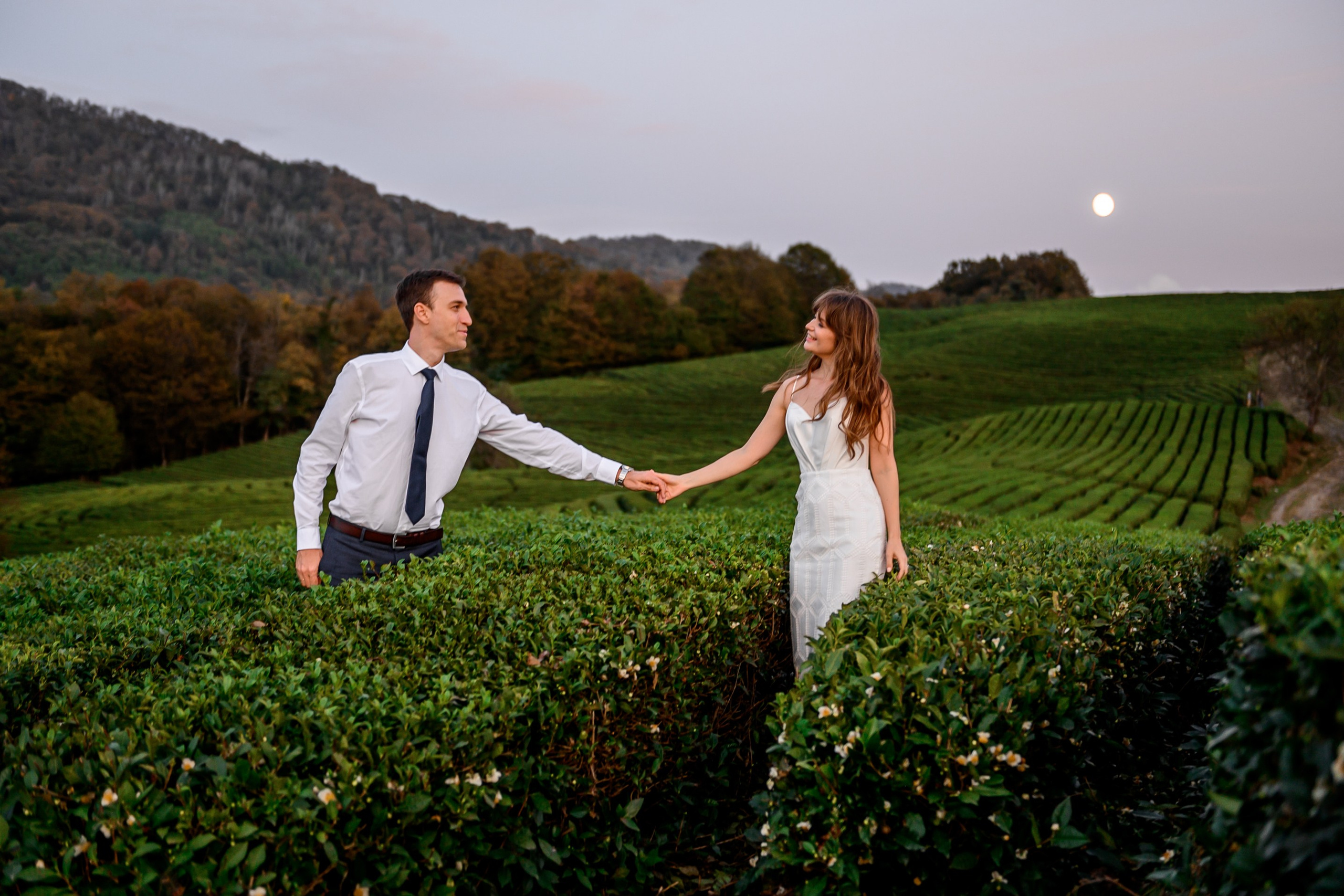 Чайные плантации. Олег и Светлана. Свадебный и семейный фотограф София Невская