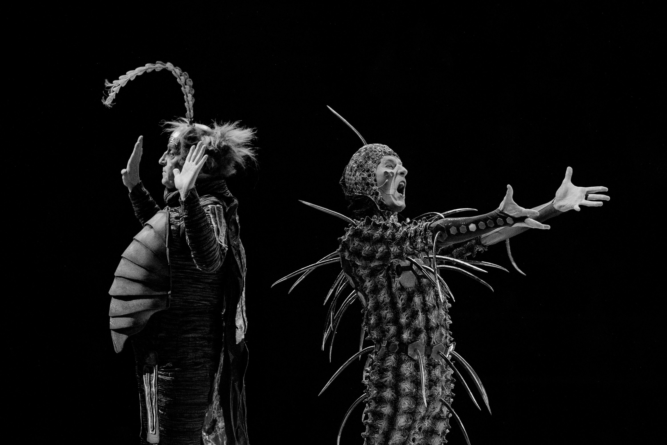 Cirque du Soleil. Портретный и репортажный фотограф Артём Бояров