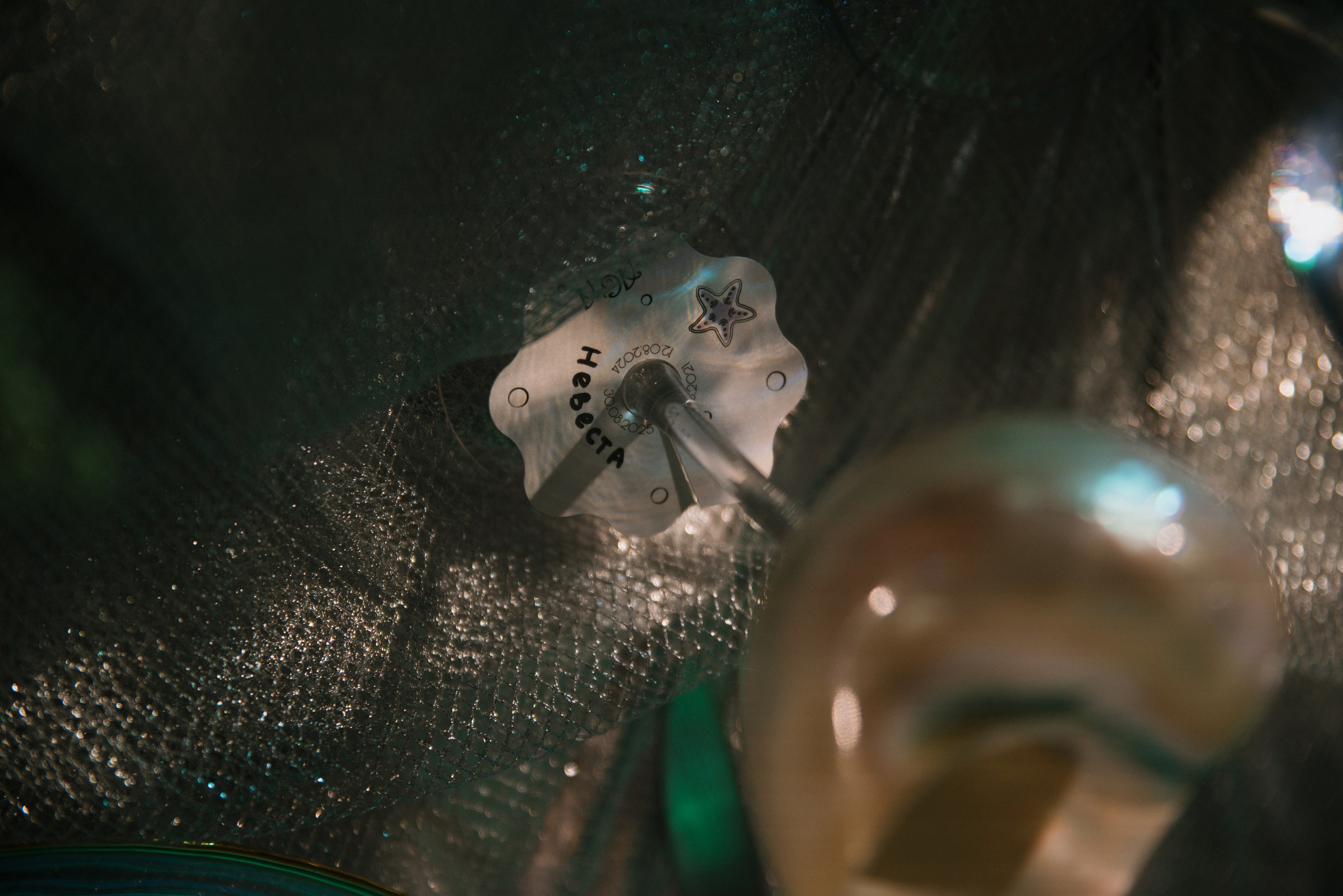 Андрей & Алёна. Свадебный, семейный, женский фотограф в Москве, Мытищах, Королёве Ксения Узилле