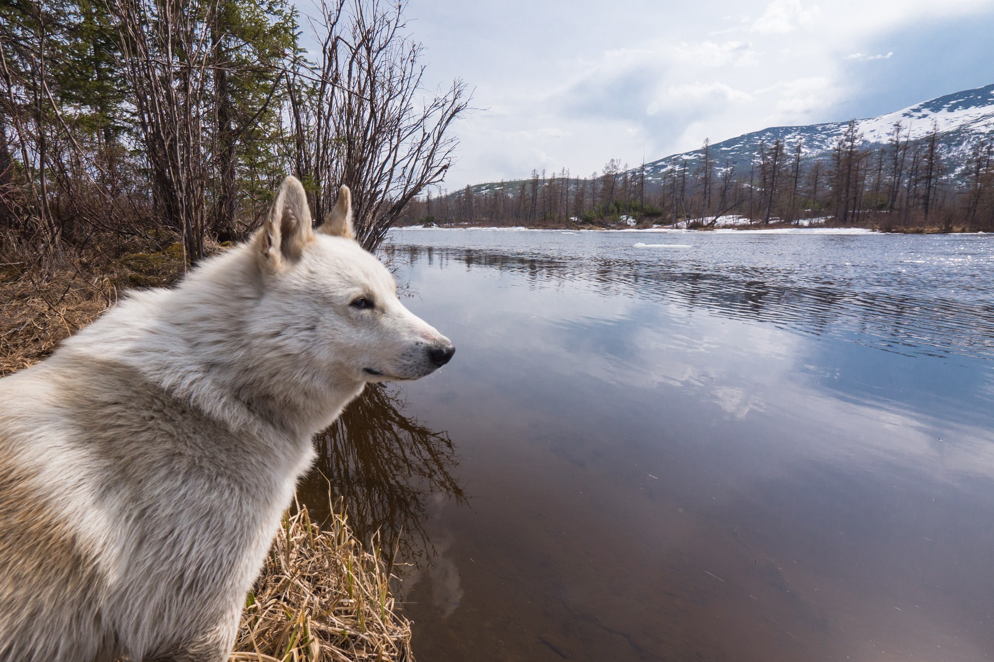 Якутия. Фотограф Алексей Скоробогатько