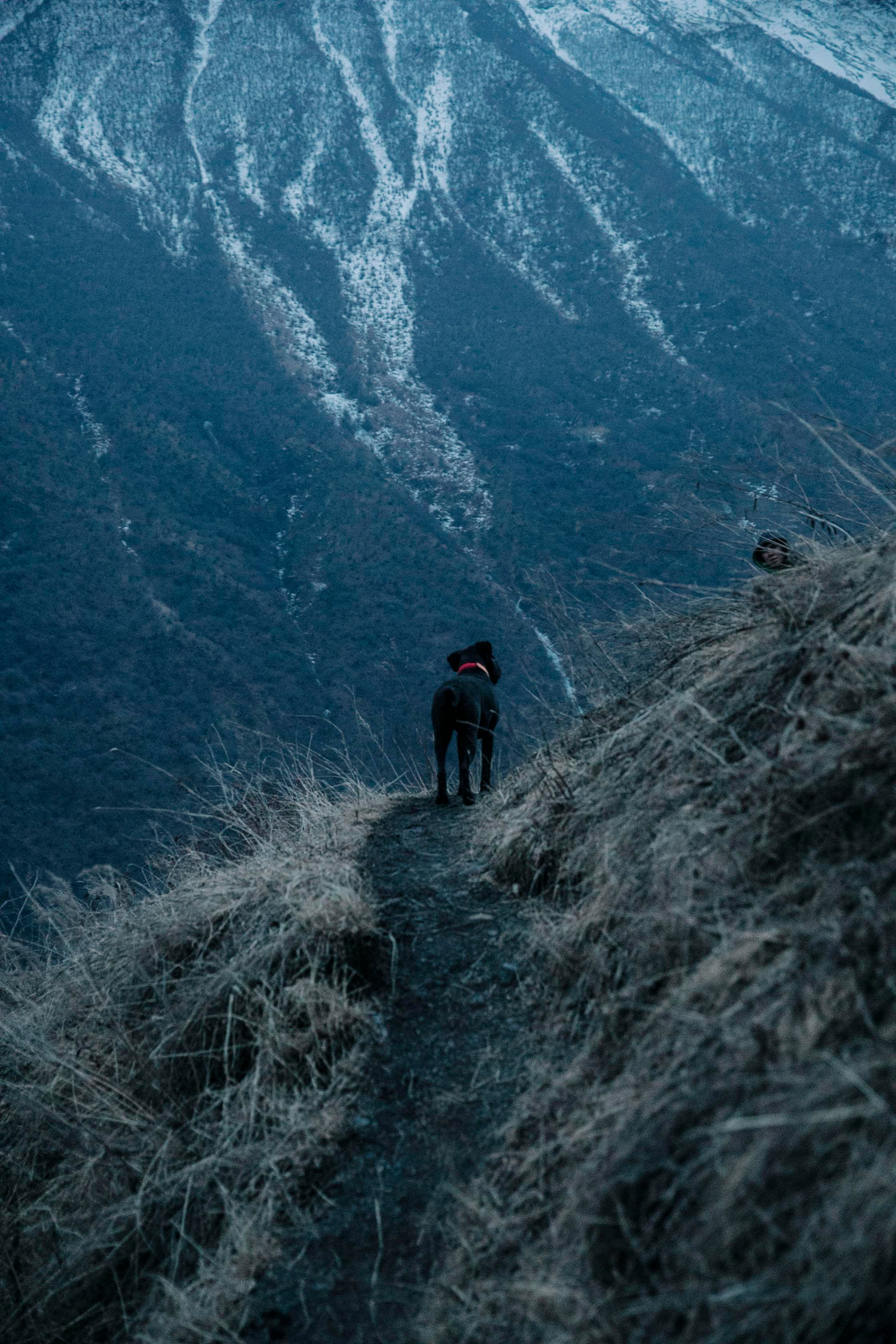 фотосессия в горах,  восхождение, фотографии с восхождения, фотосессия, фотосессия туристов, треккинг, парапланы