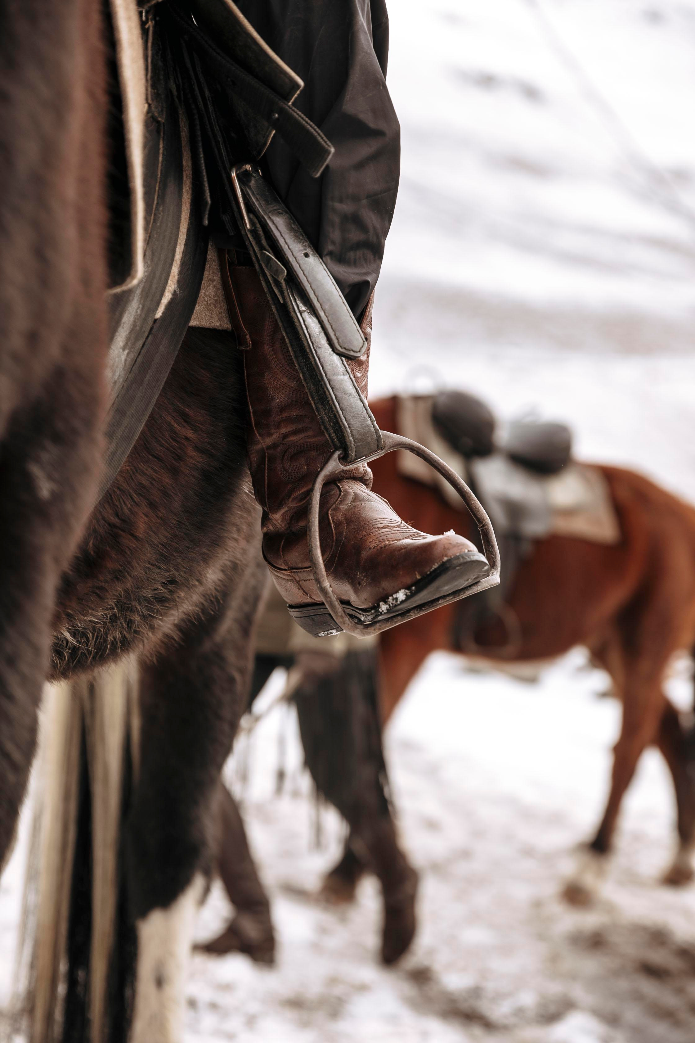 фотосессия с лошадью, фотосессия, лошадь, фотосессия в горах, фото с конем, фотография с лошадью, фотосессия, горы, Кавказ, фотосессия в песках, фотограф Осколкова Ульяна