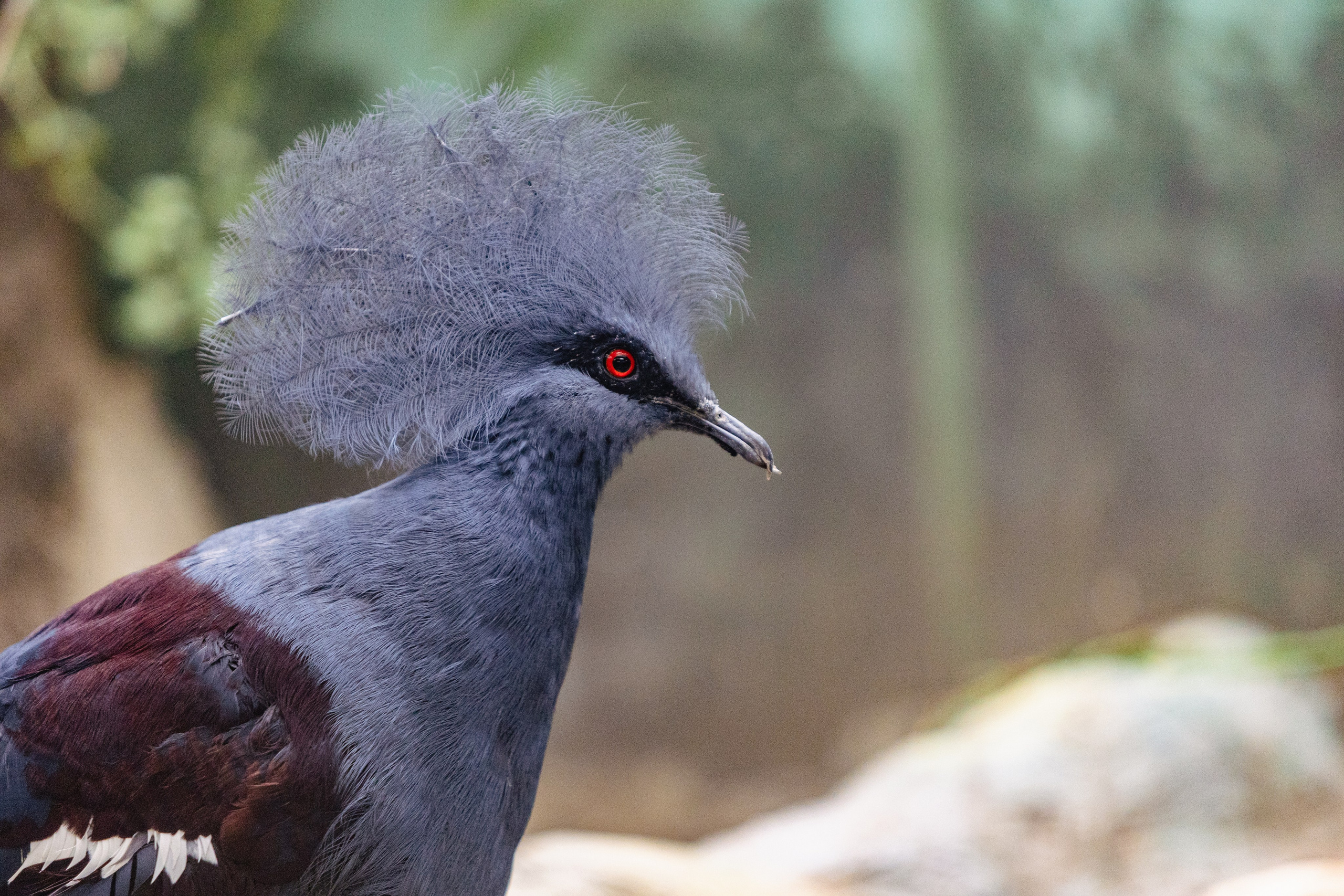 Московский зоопарк. Photographer Sonkina Tatiana (Tanya Ash)