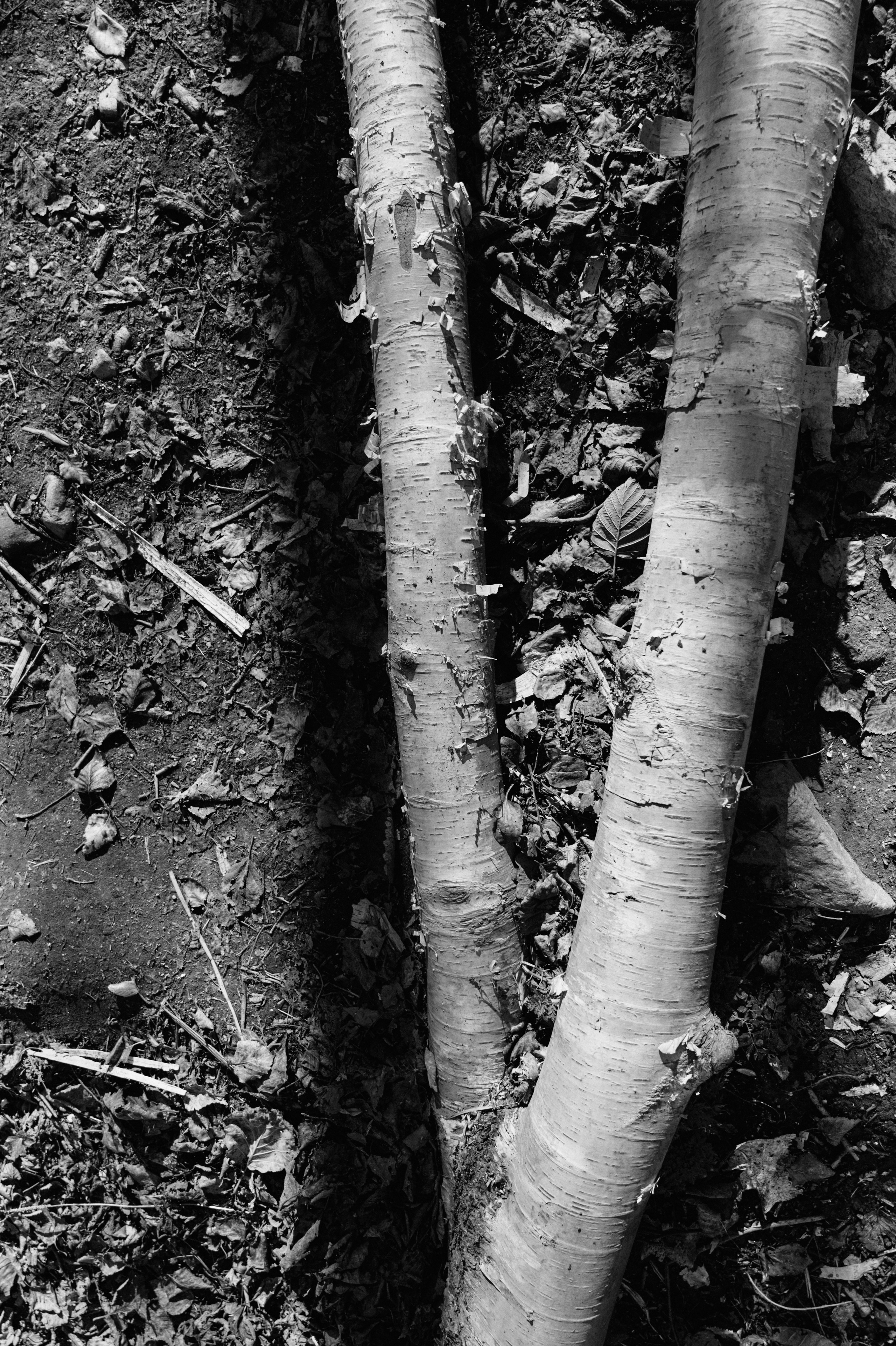 BAON x SAKHALIN. Фотограф Сурков Никита