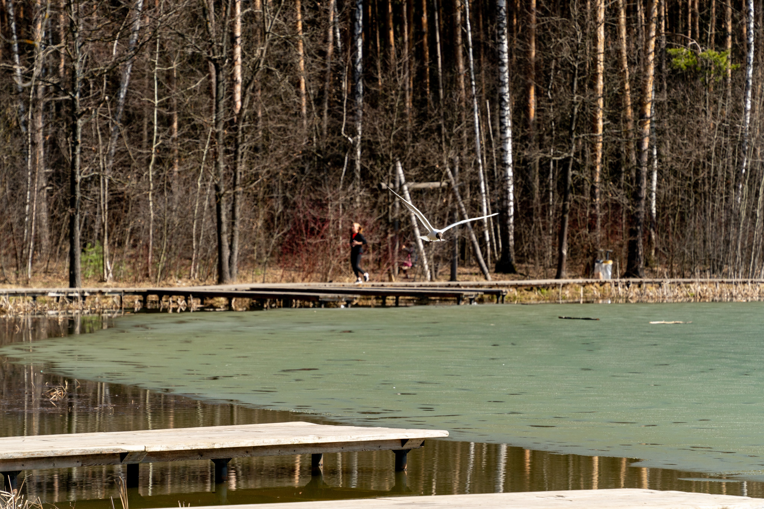 Мещерский парк. ПОБУДЬ ЗДЕСЬ И ЦЕЛЕЕ БУДЕТ ЭТОТ МИР