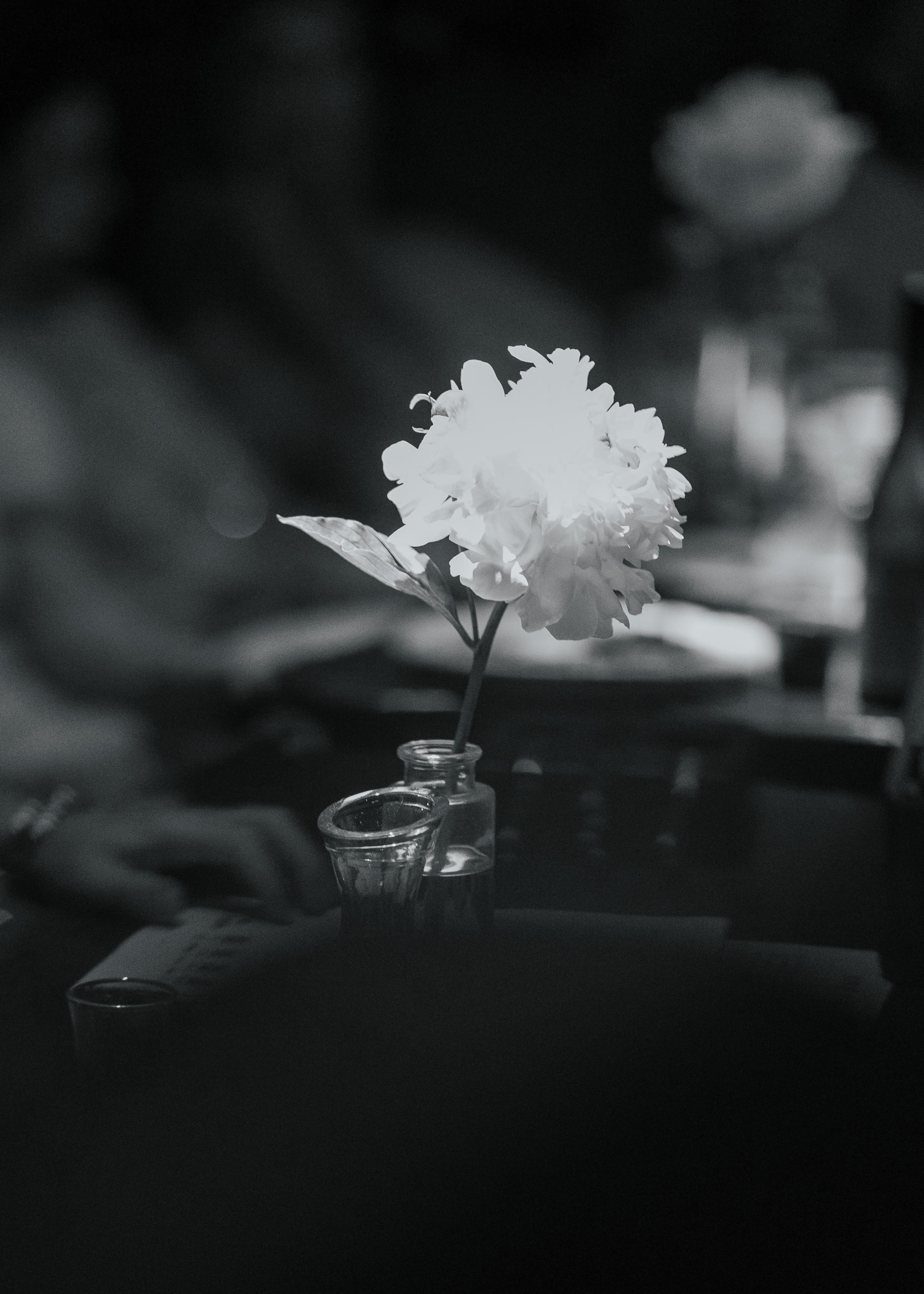 Pasta na Bare. Фотограф Хабаровск