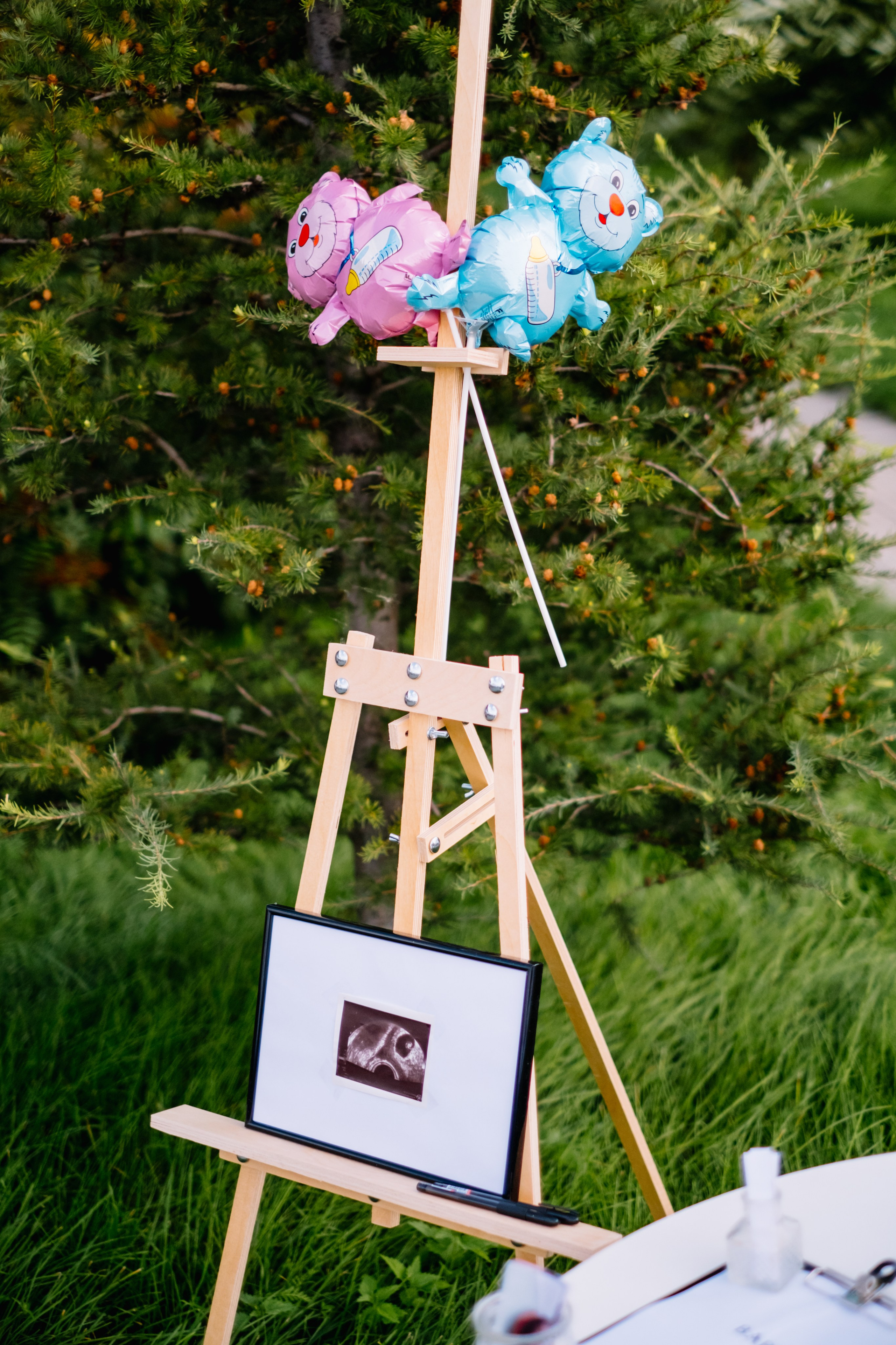 Gender Party. Фотограф в Челябинске I Надин Палмер