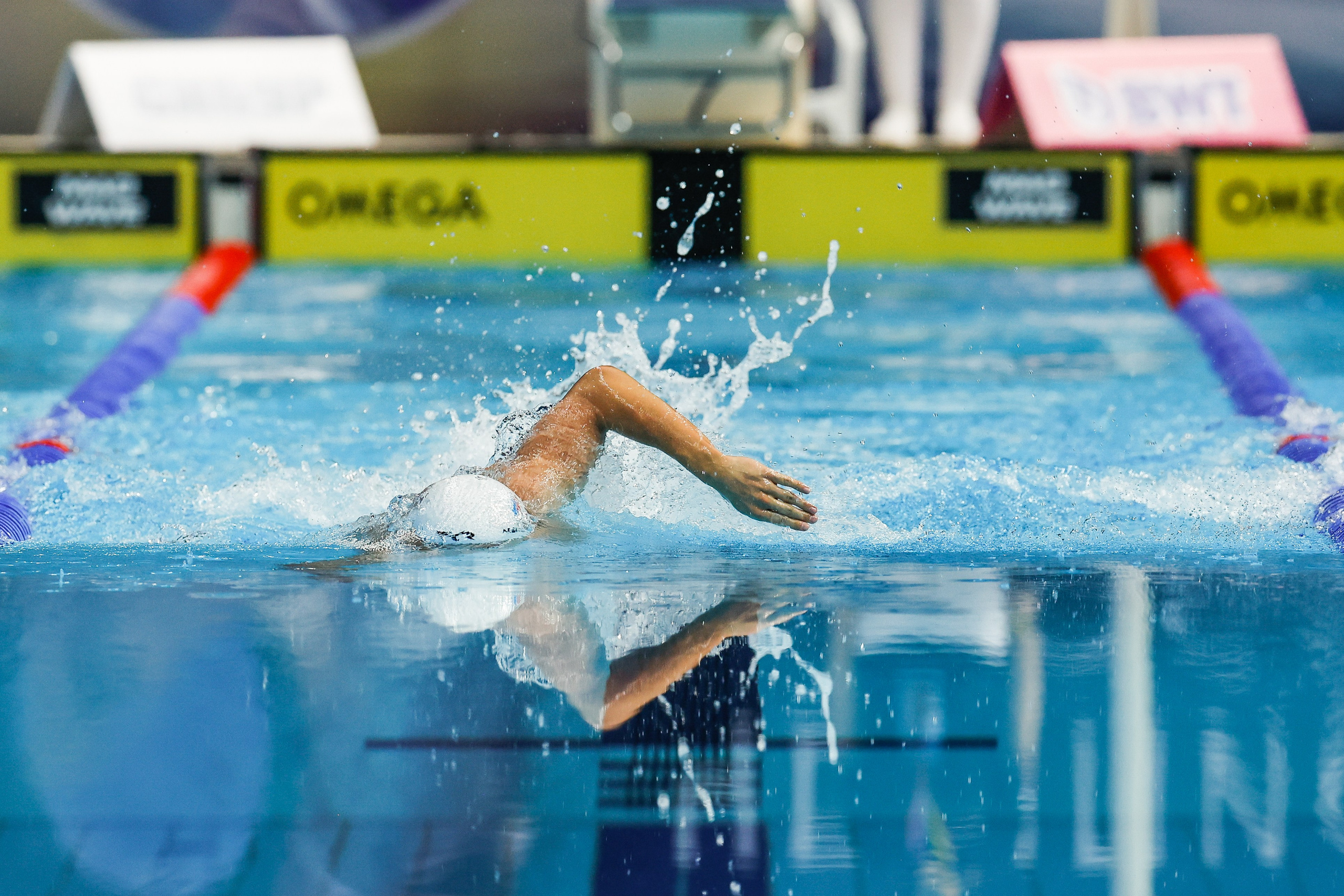 Чемпионат России по плаванию 2023. Спортивный репортажный фотограф Казань Нафис Сиразетдинов