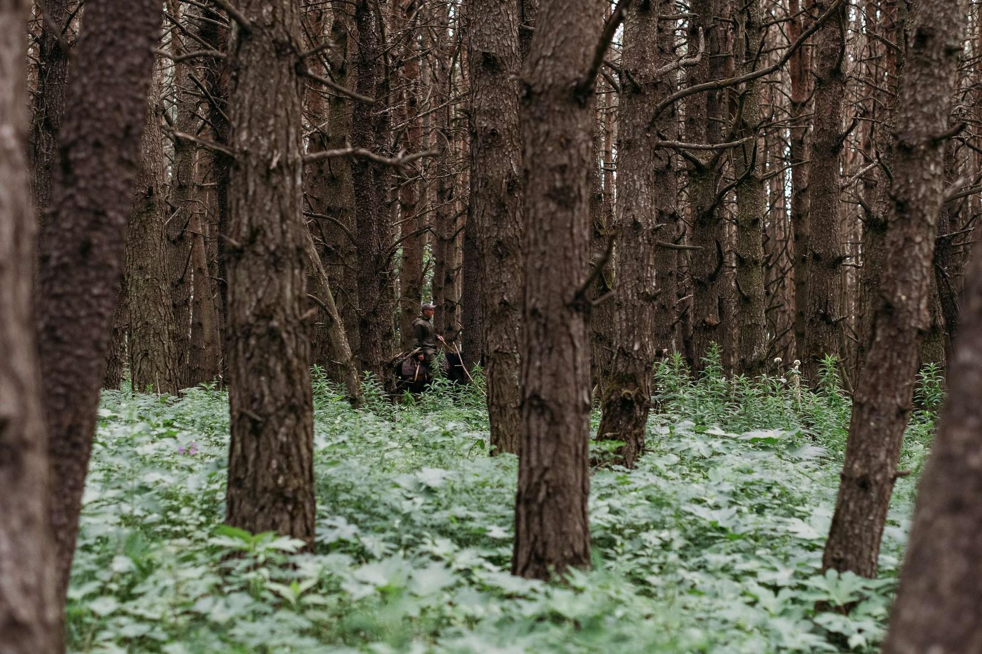 ЛОВИ МОМЕНТ. Свадебный фотограф в Ставрополе Сергей Шляхов