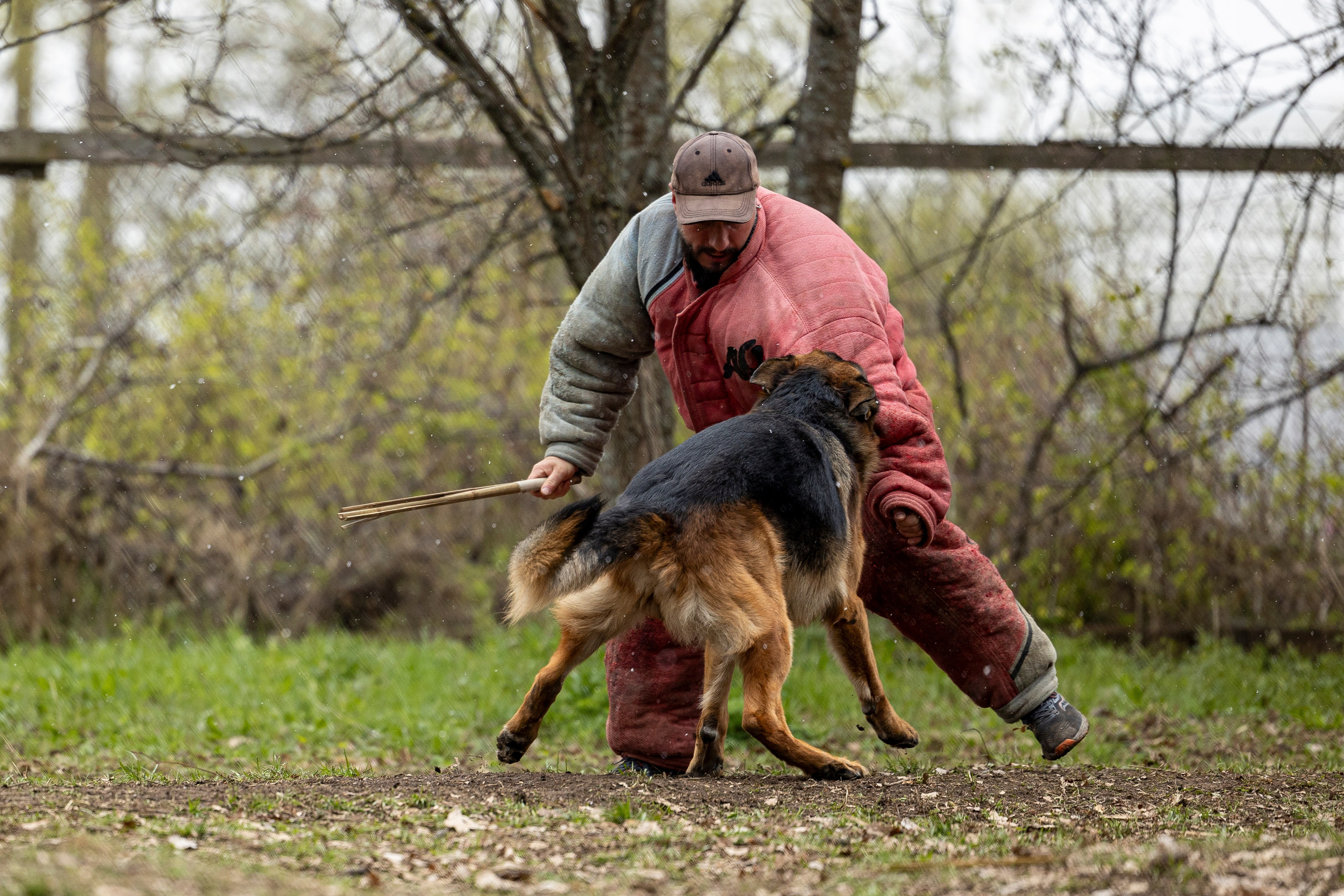 Квалификационные состязания по мондьорингу г. Вологда 11.05.24. Фотограф-анималист Анна Маринич