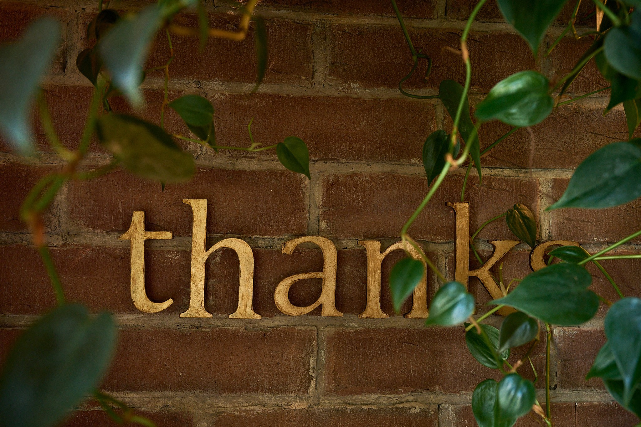 На Патриарших. Маляревич Дмитрий свадебный фотограф