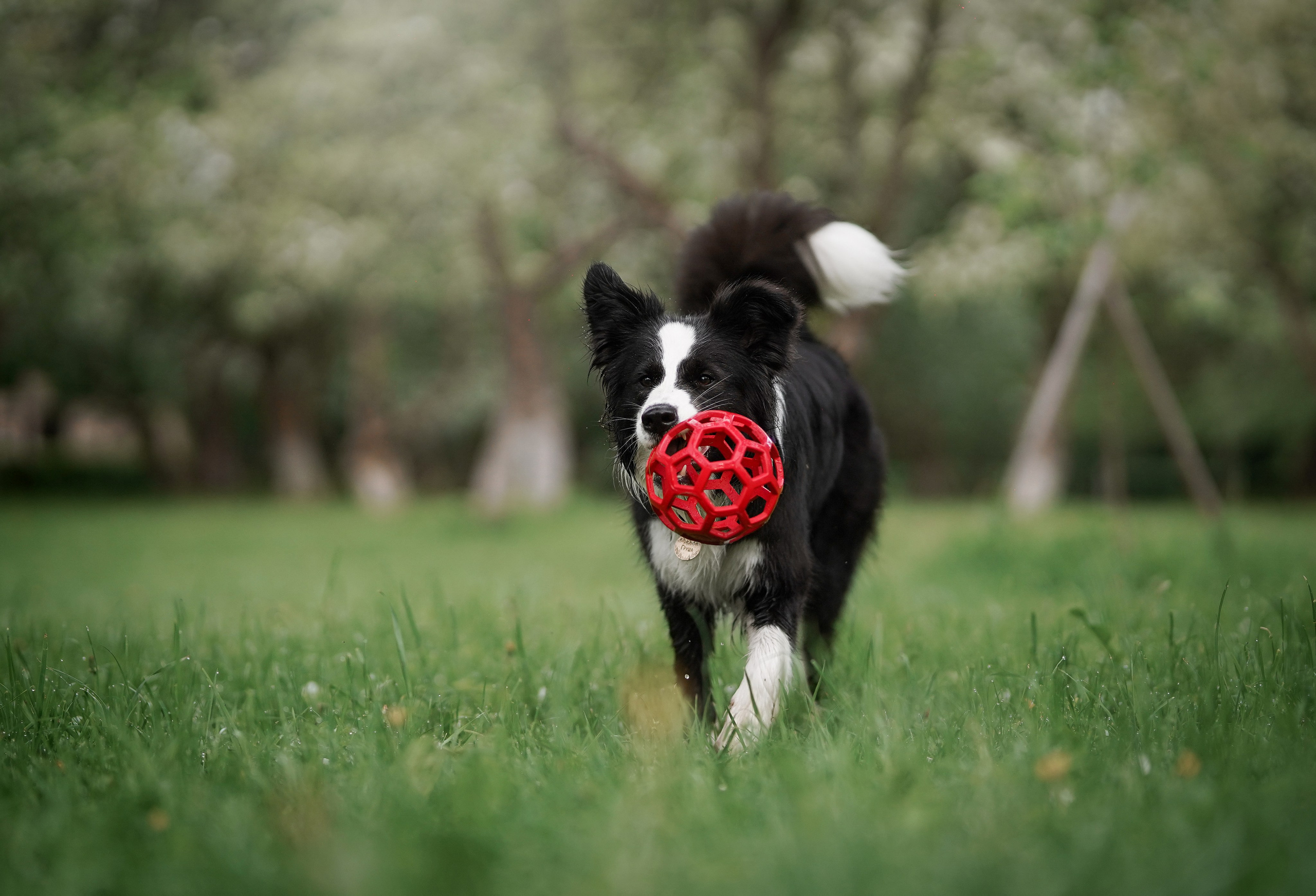Юля, ее мама и Груша. Фотограф-анималист в Санкт-Петербурге Яна Мартынова