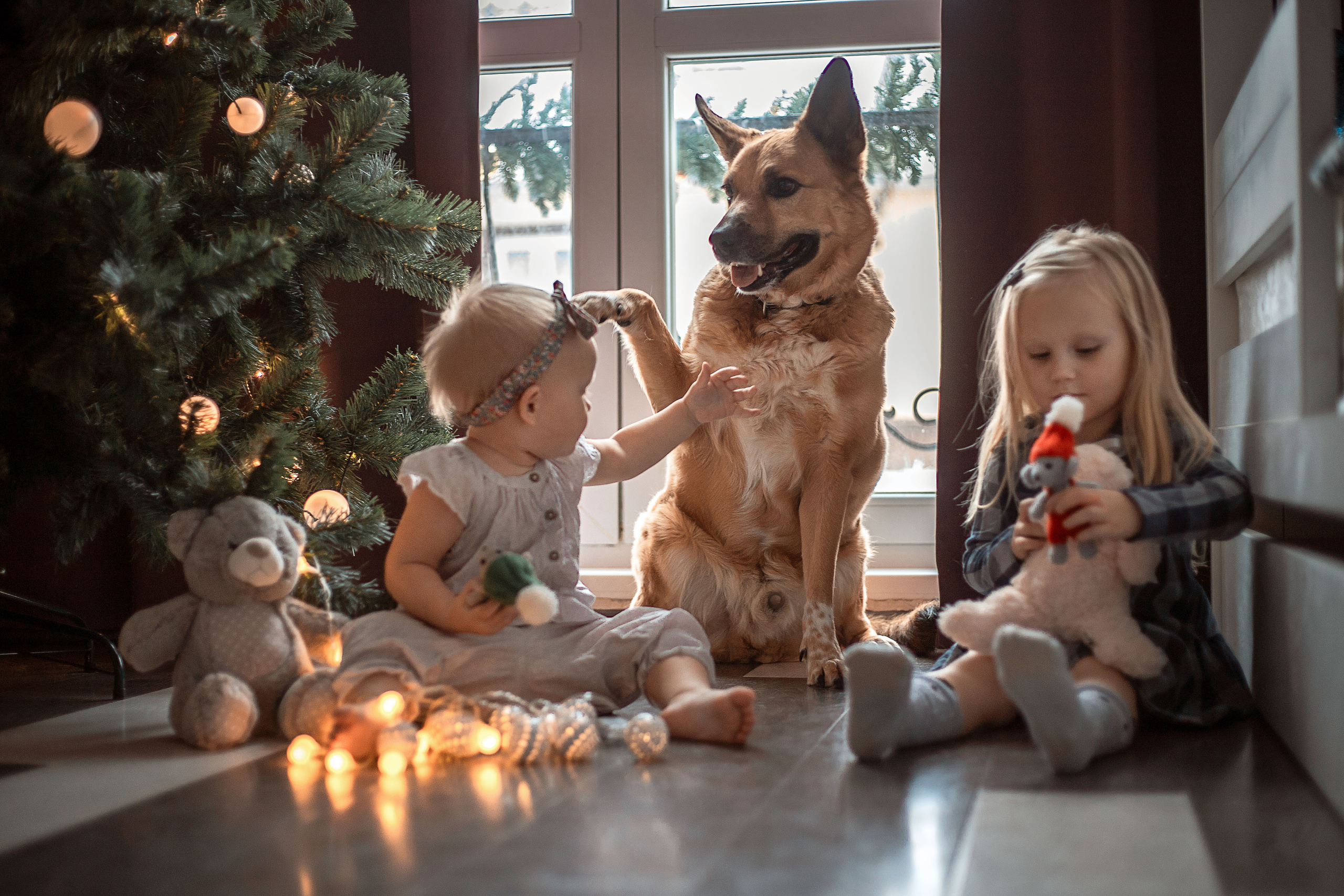 Предновогодние приготовления. Семейный и детский фотограф в Калуге Вероника Голованова