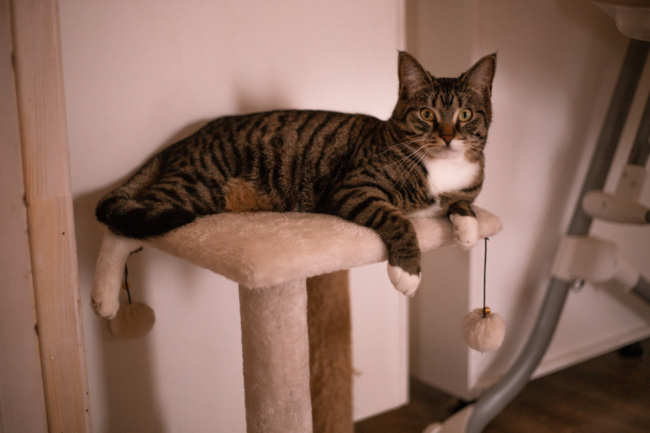 Малышка Лея и ее семья. Семейный и детский фотограф в Калуге Вероника Голованова