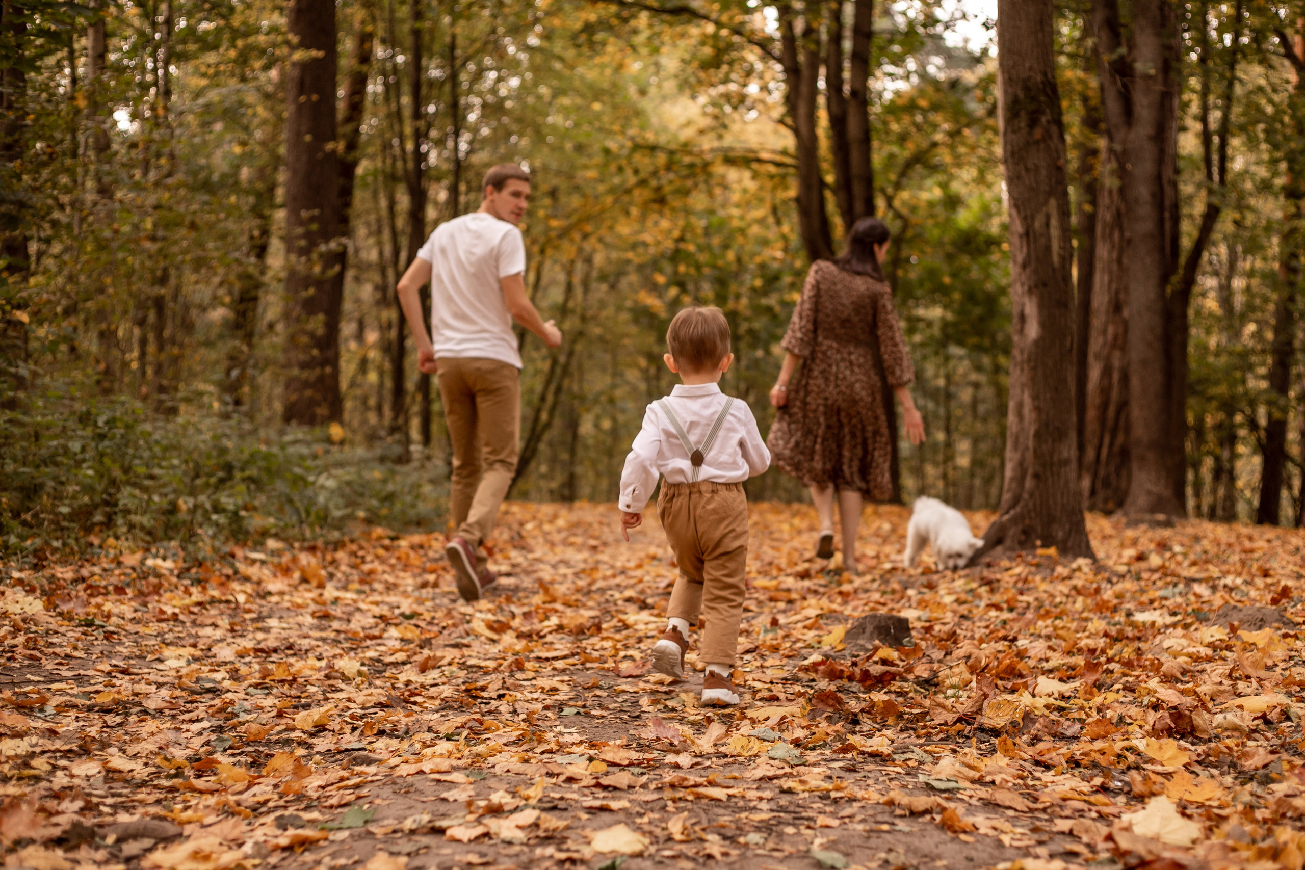 В осеннем лесу. Семейный и детский фотограф в Калуге Вероника Голованова