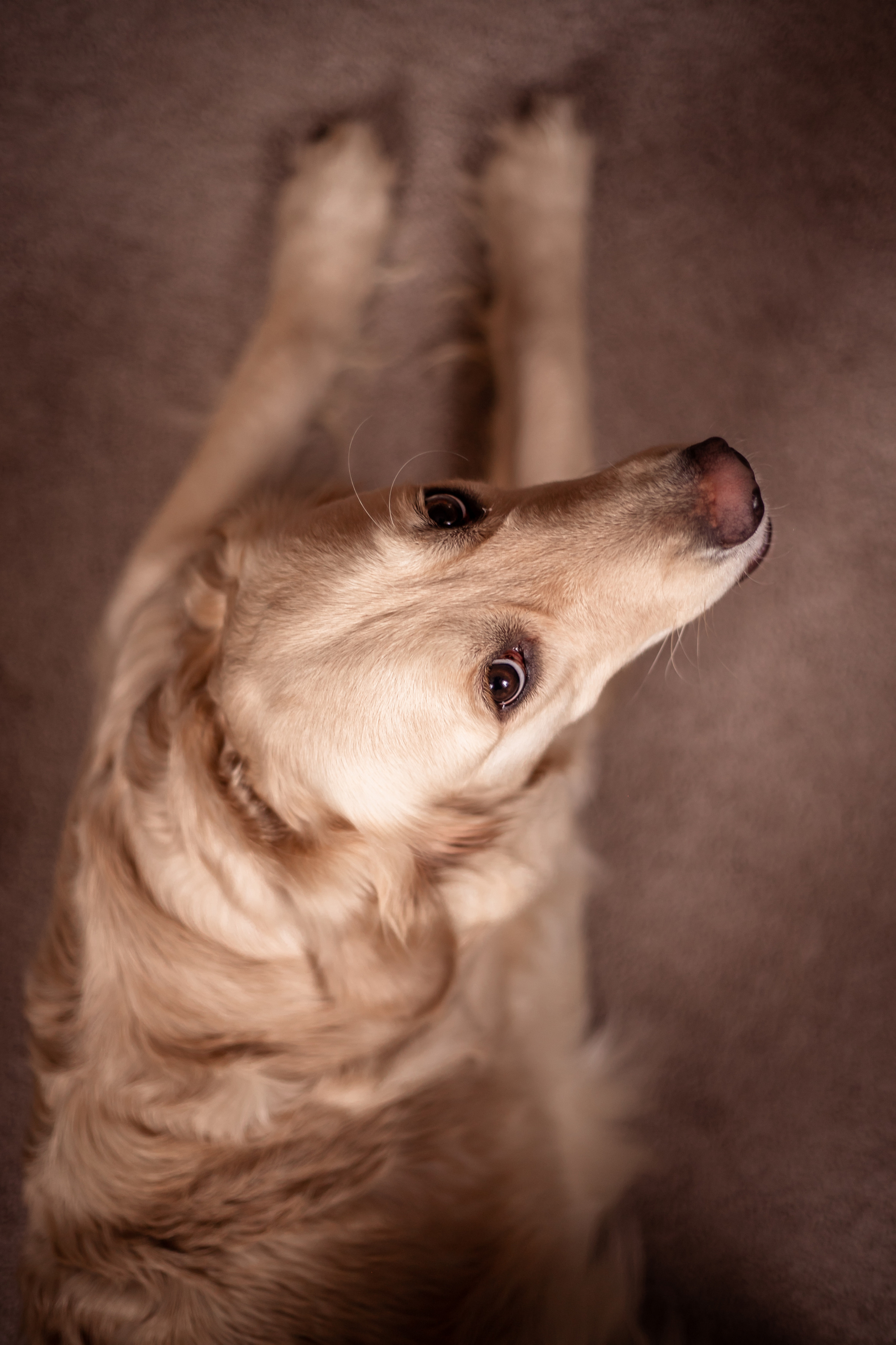 Малышка Лея и ее семья. Семейный и детский фотограф в Калуге Вероника Голованова