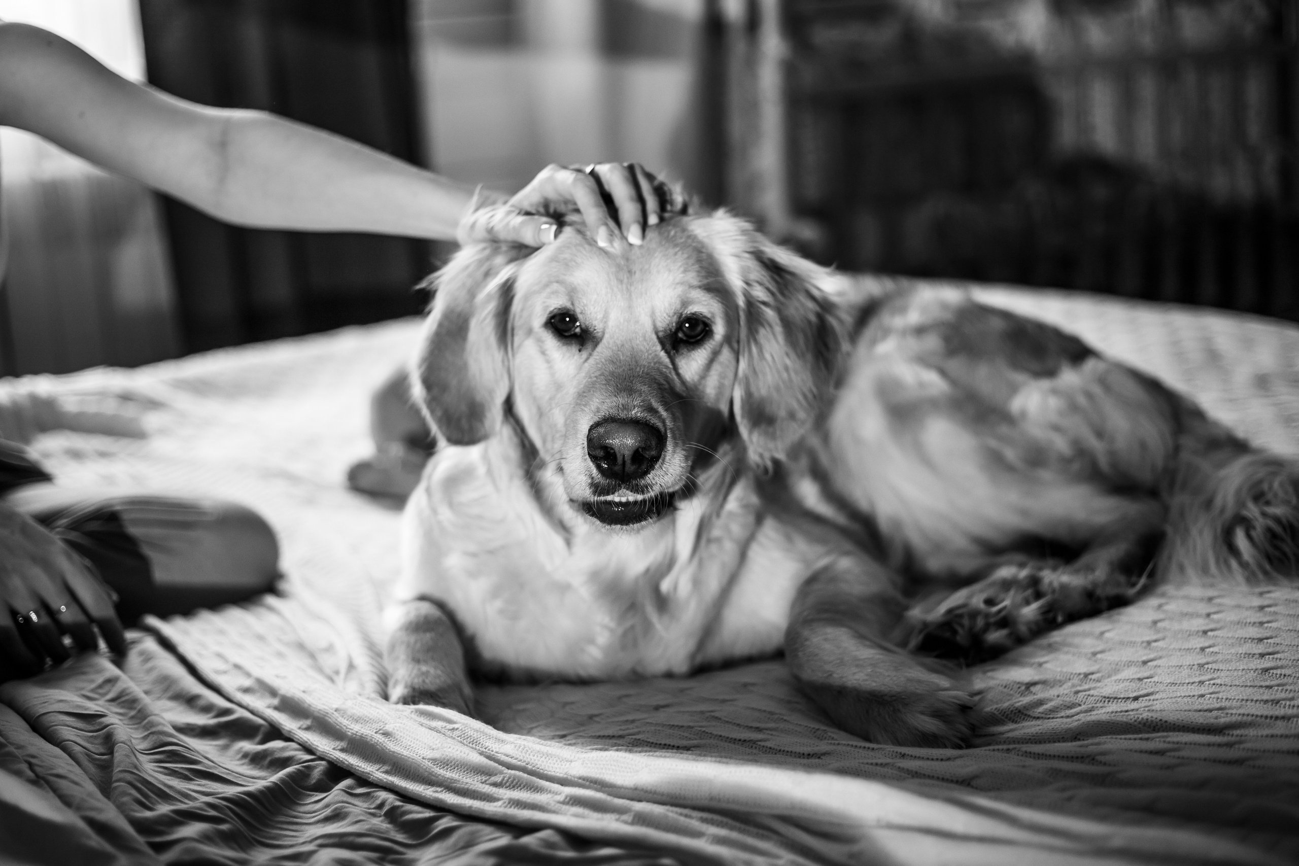 Малышка Лея и ее семья. Семейный и детский фотограф в Калуге Вероника Голованова