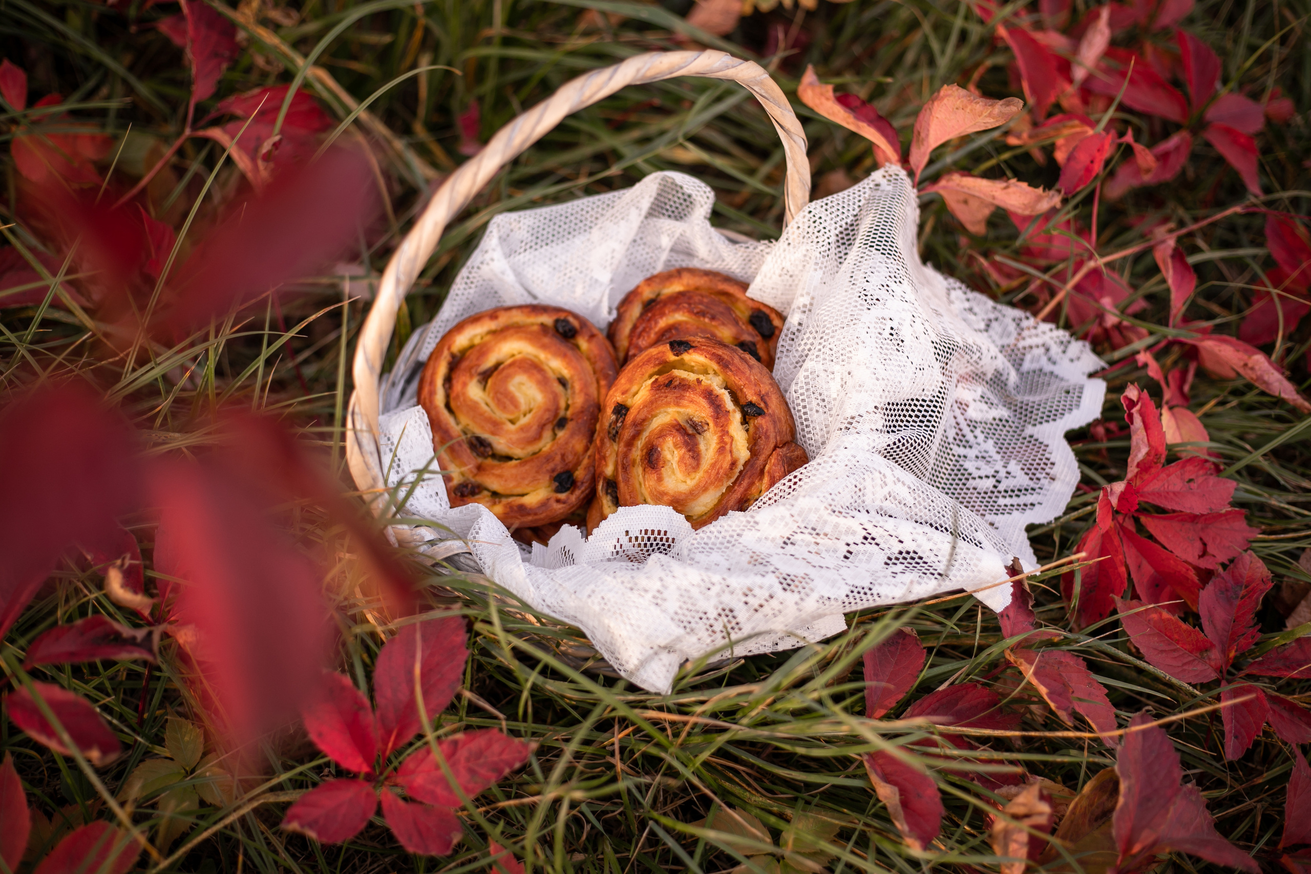Дикий виноград. Семейный и детский фотограф в Калуге Вероника Голованова