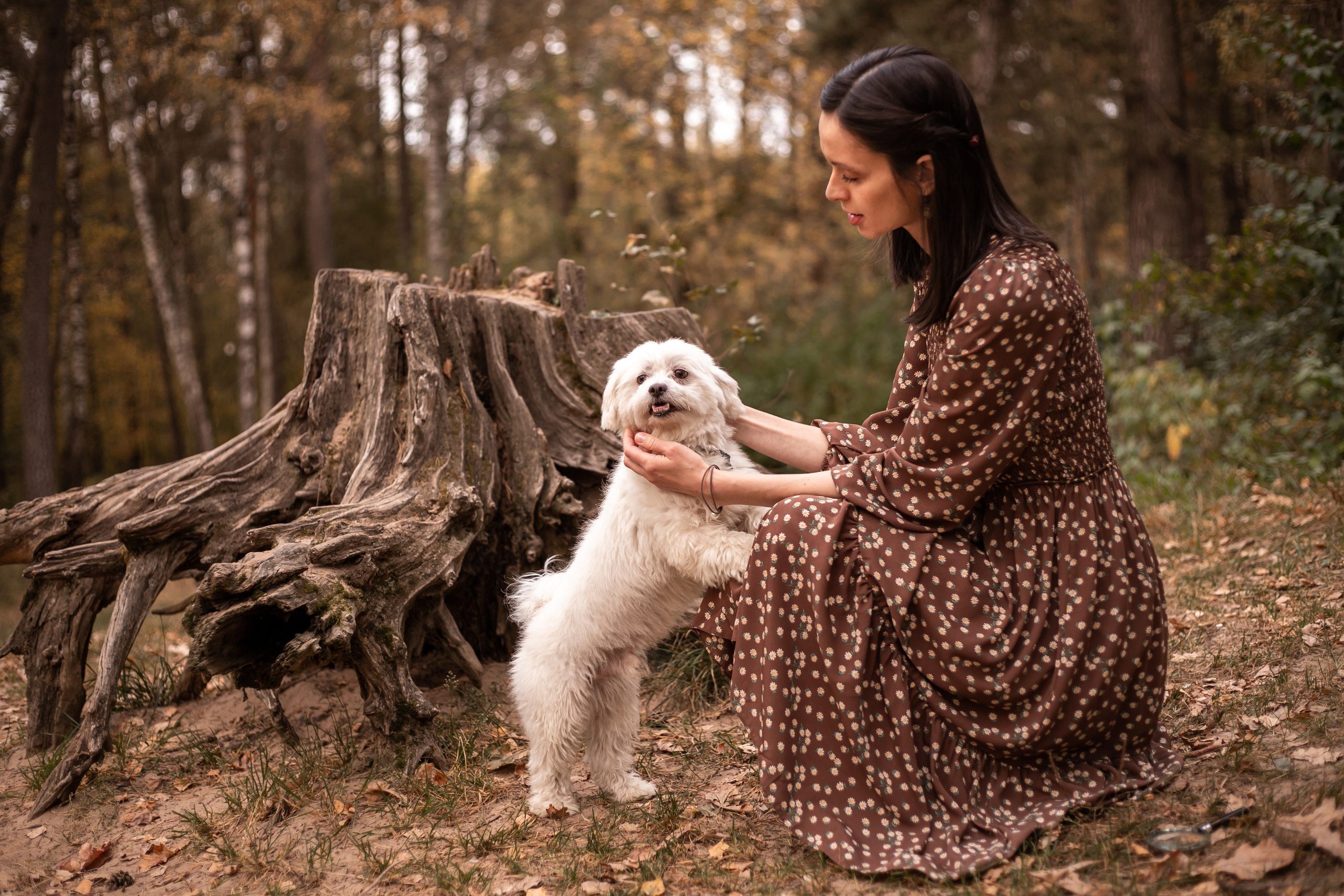 В осеннем лесу. Семейный и детский фотограф в Калуге Вероника Голованова