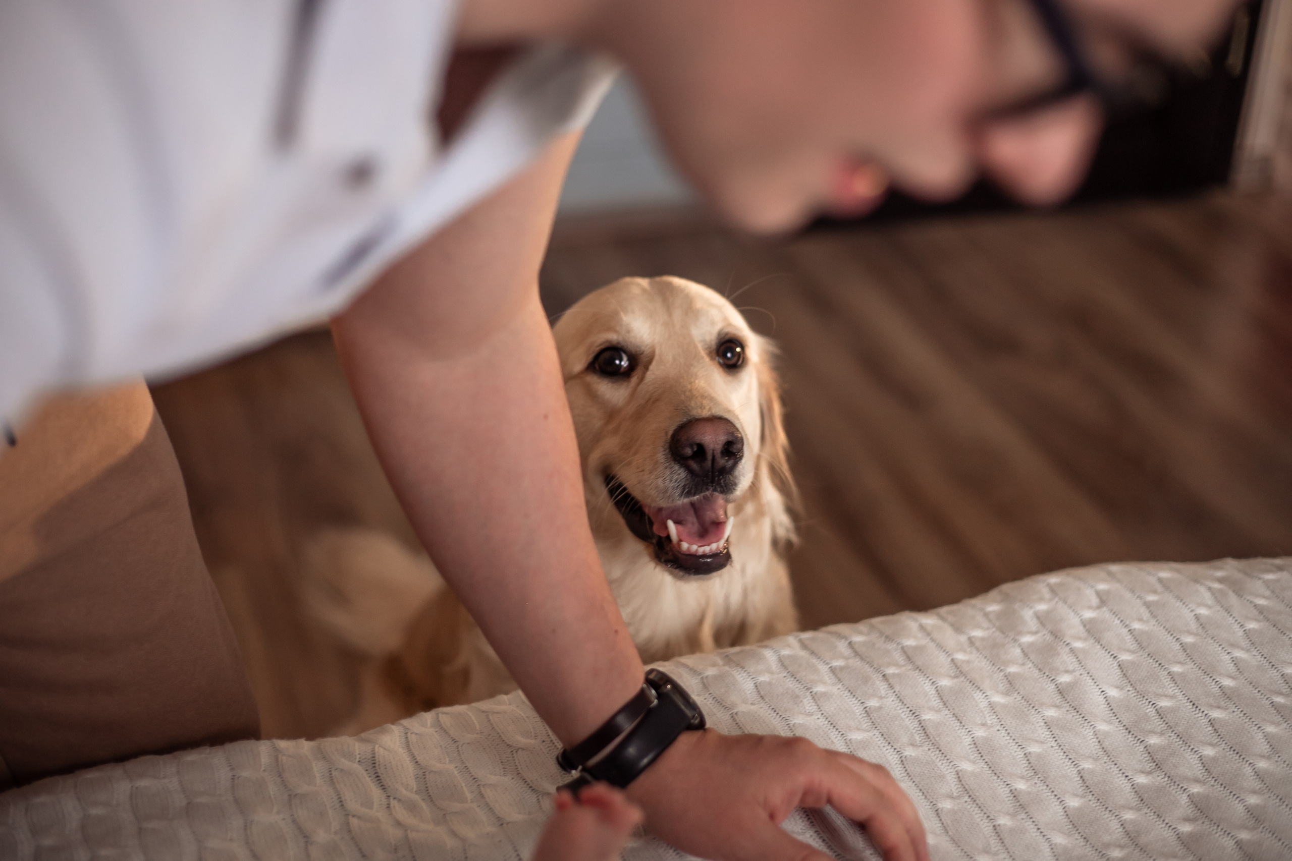Малышка Лея и ее семья. Семейный и детский фотограф в Калуге Вероника Голованова