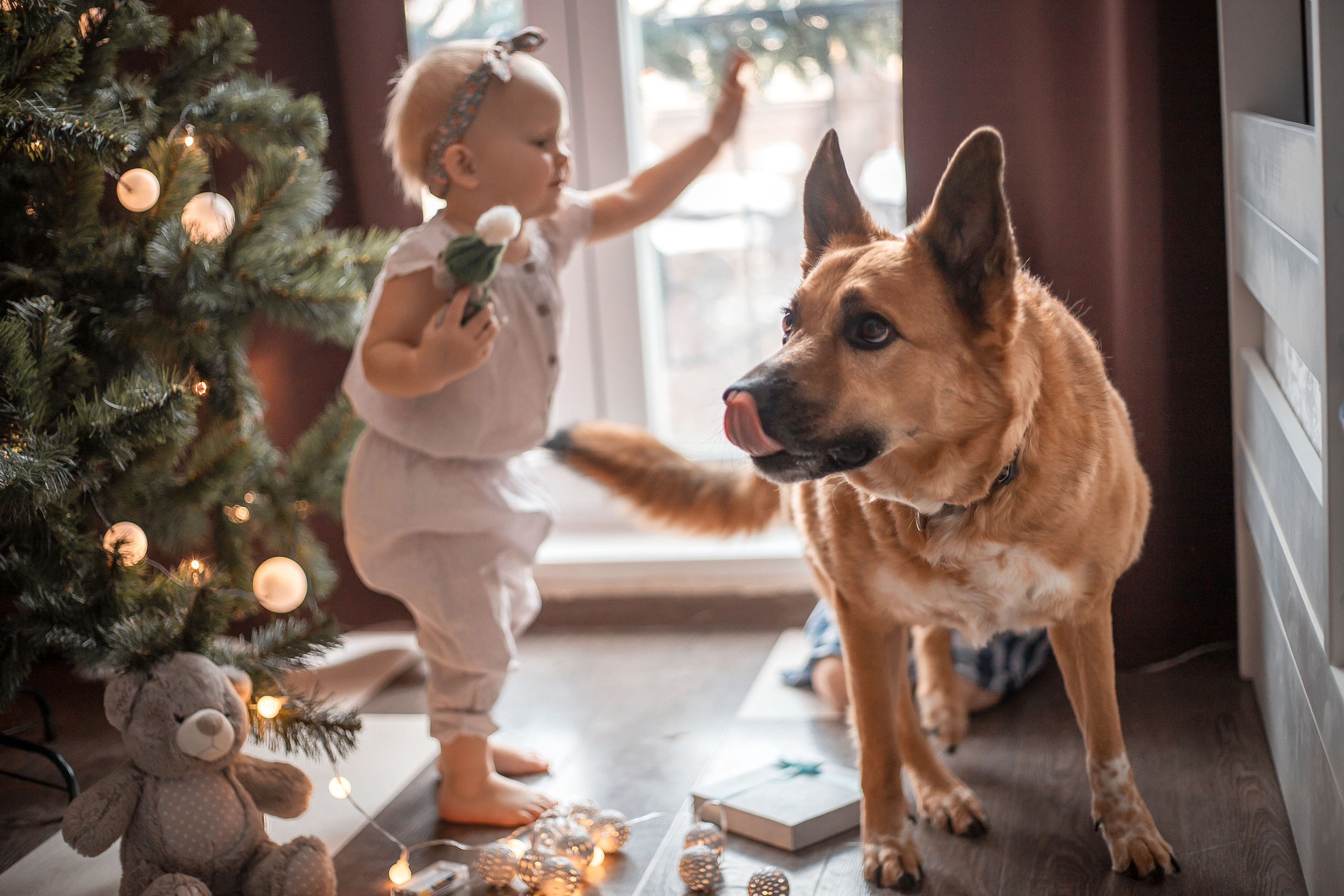 Предновогодние приготовления. Семейный и детский фотограф в Калуге Вероника Голованова