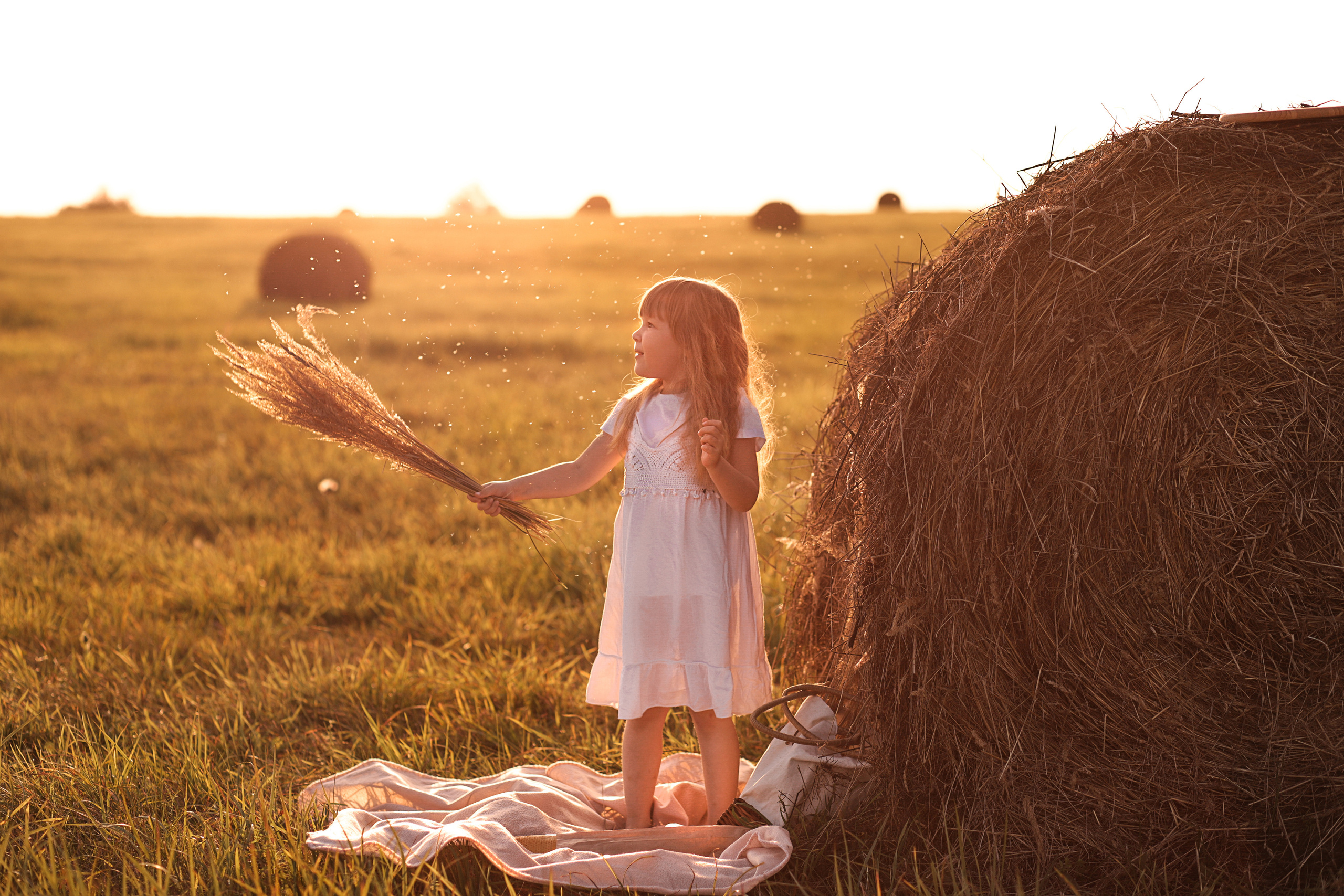 Пикник в стогах. Семейный и детский фотограф в Калуге Вероника Голованова