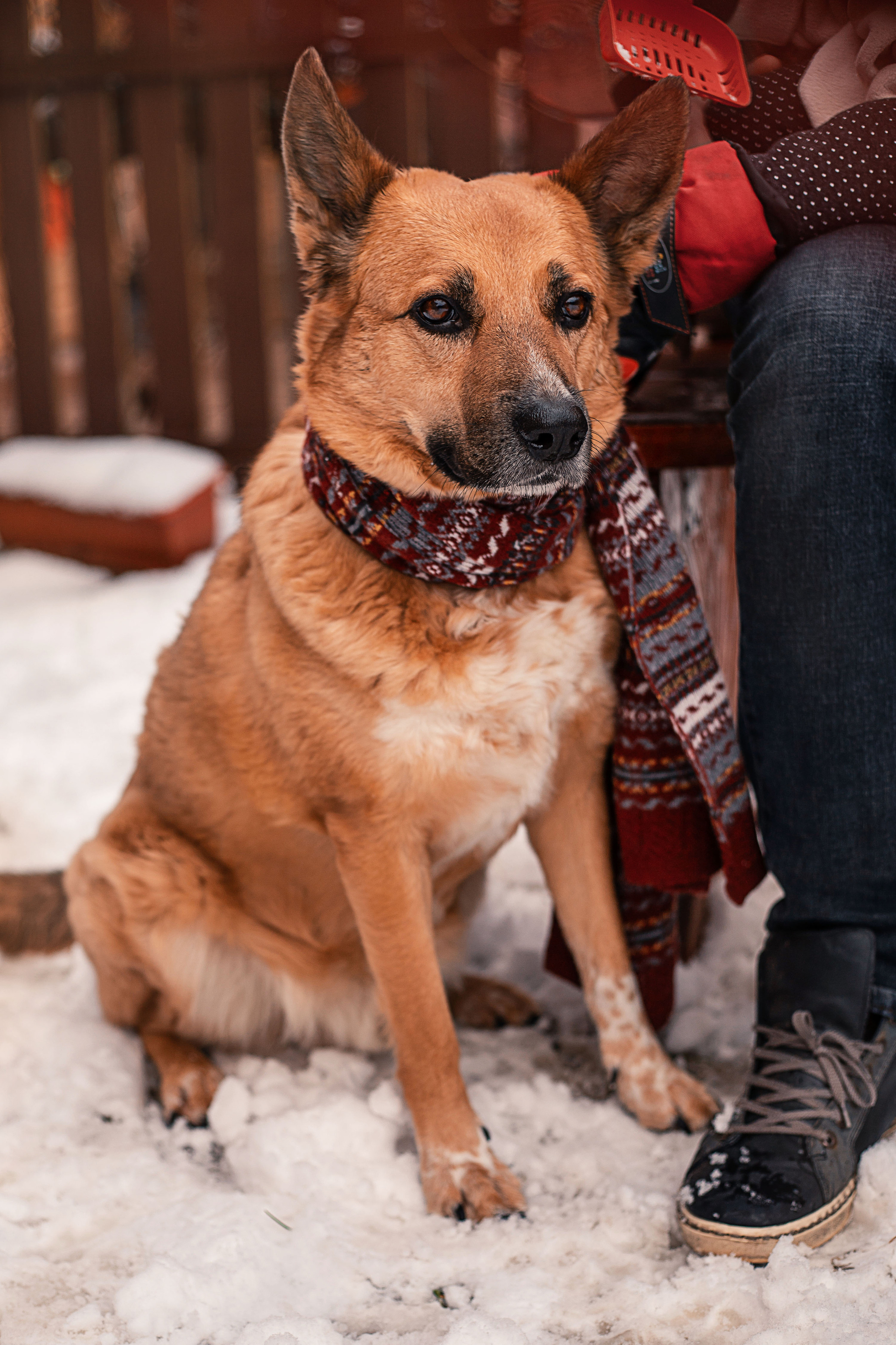 Предновогодние приготовления. Семейный и детский фотограф в Калуге Вероника Голованова