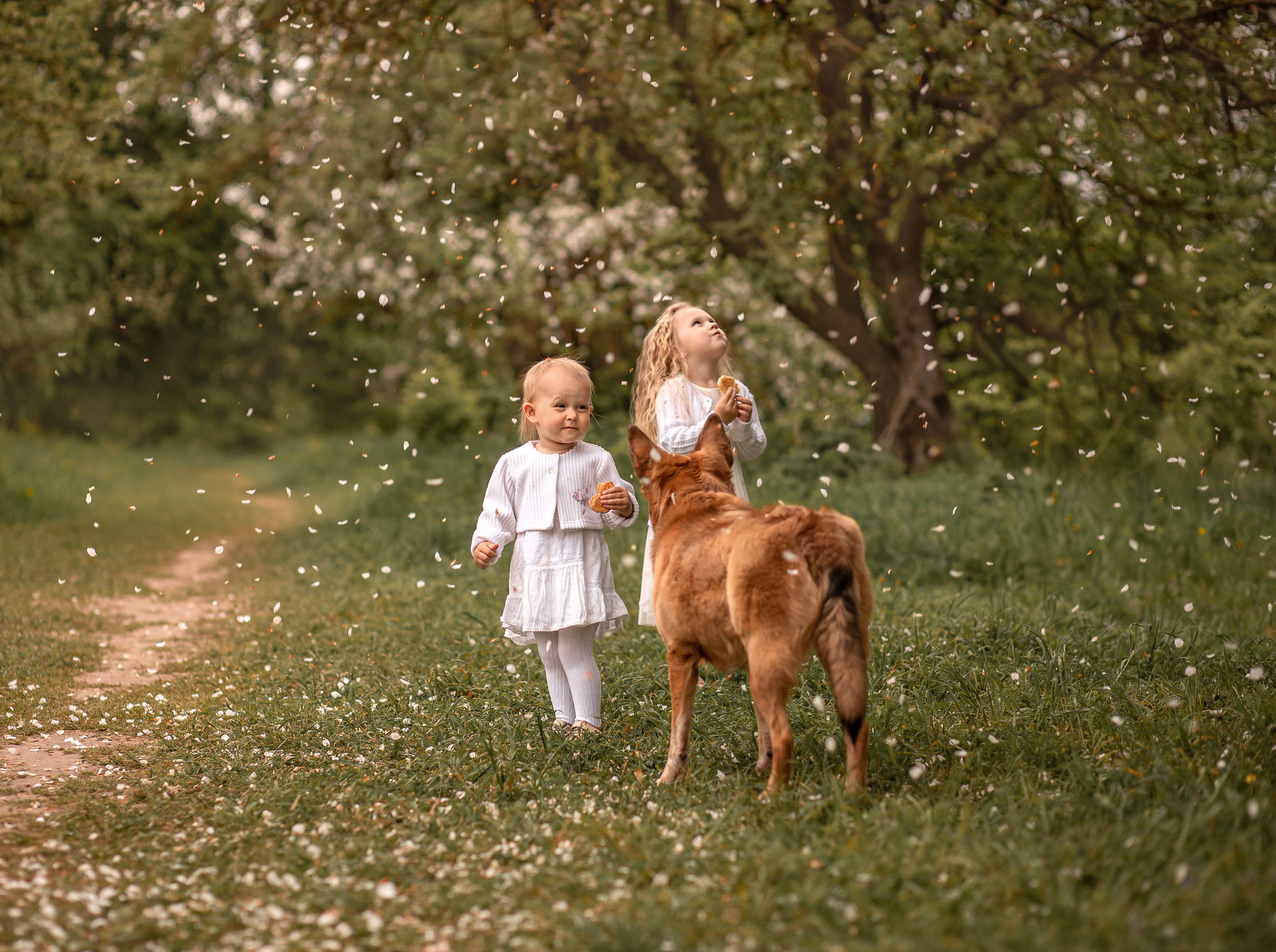 Прогулка в цветущем саду. Семейный и детский фотограф в Калуге Вероника Голованова
