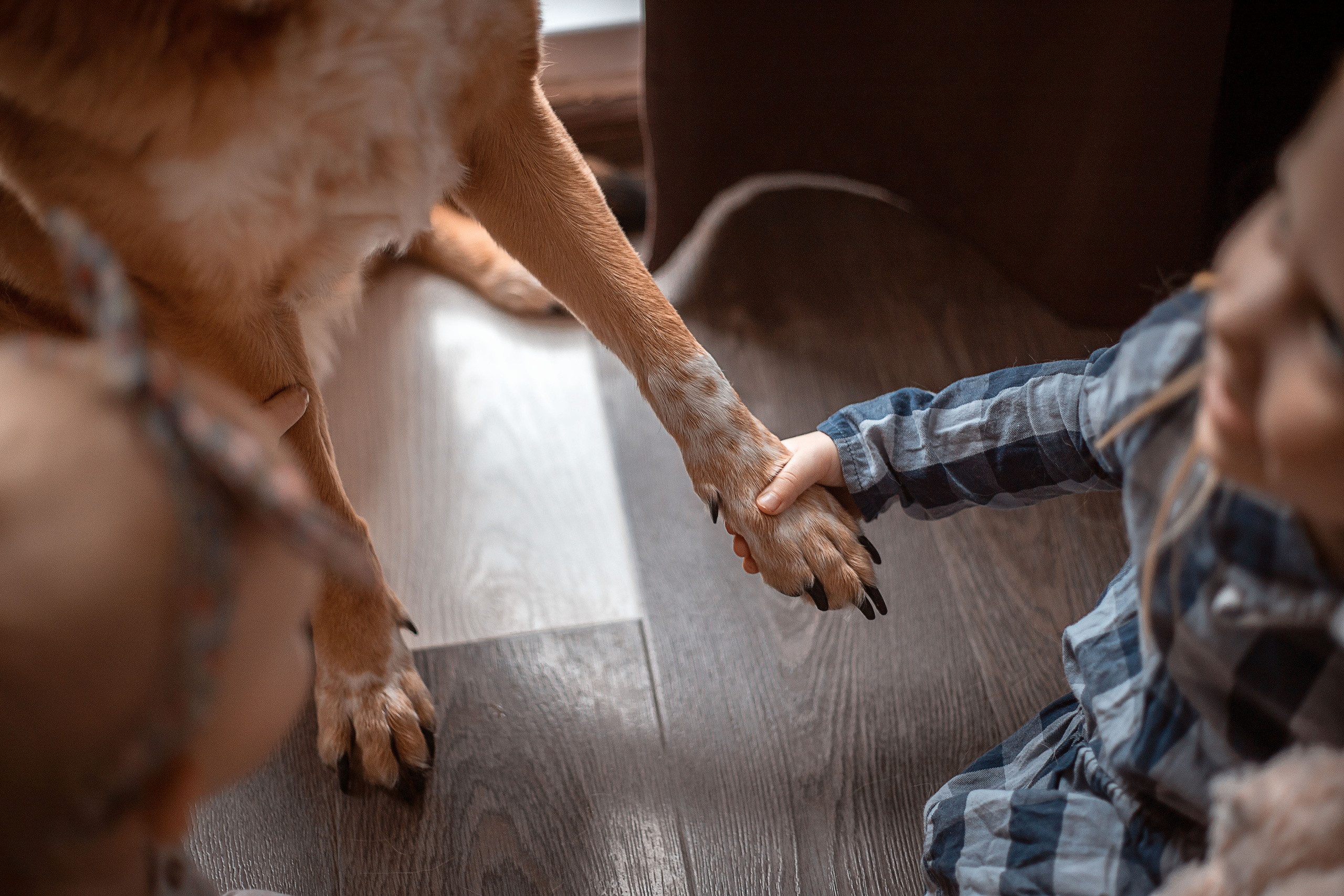 Предновогодние приготовления. Семейный и детский фотограф в Калуге Вероника Голованова