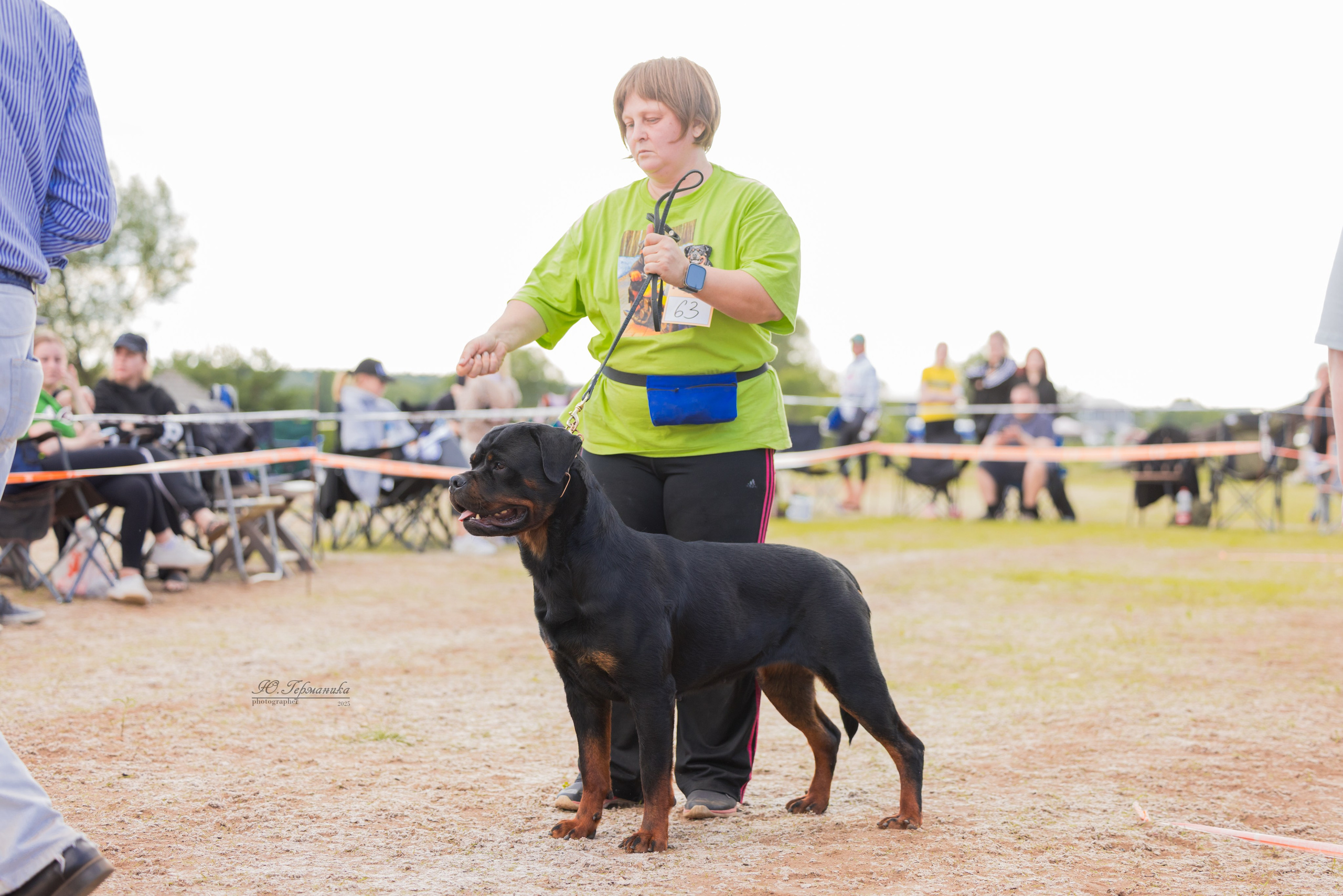 Тверь ротвейлеры 5-6.07.2025. Фотограф-анималист Юлия Германика