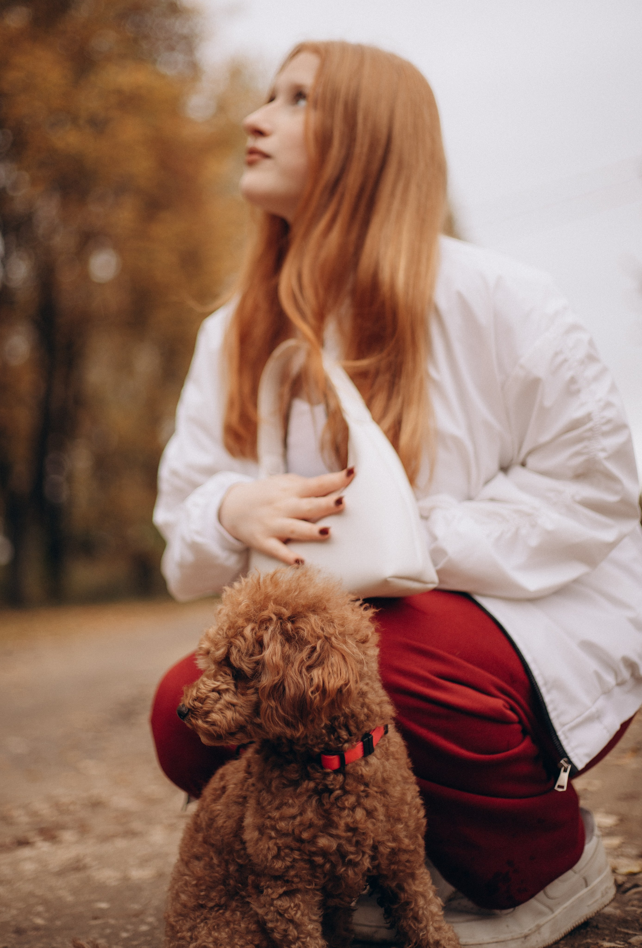 Съемки с питомцем. Tenny-Tiny Ph